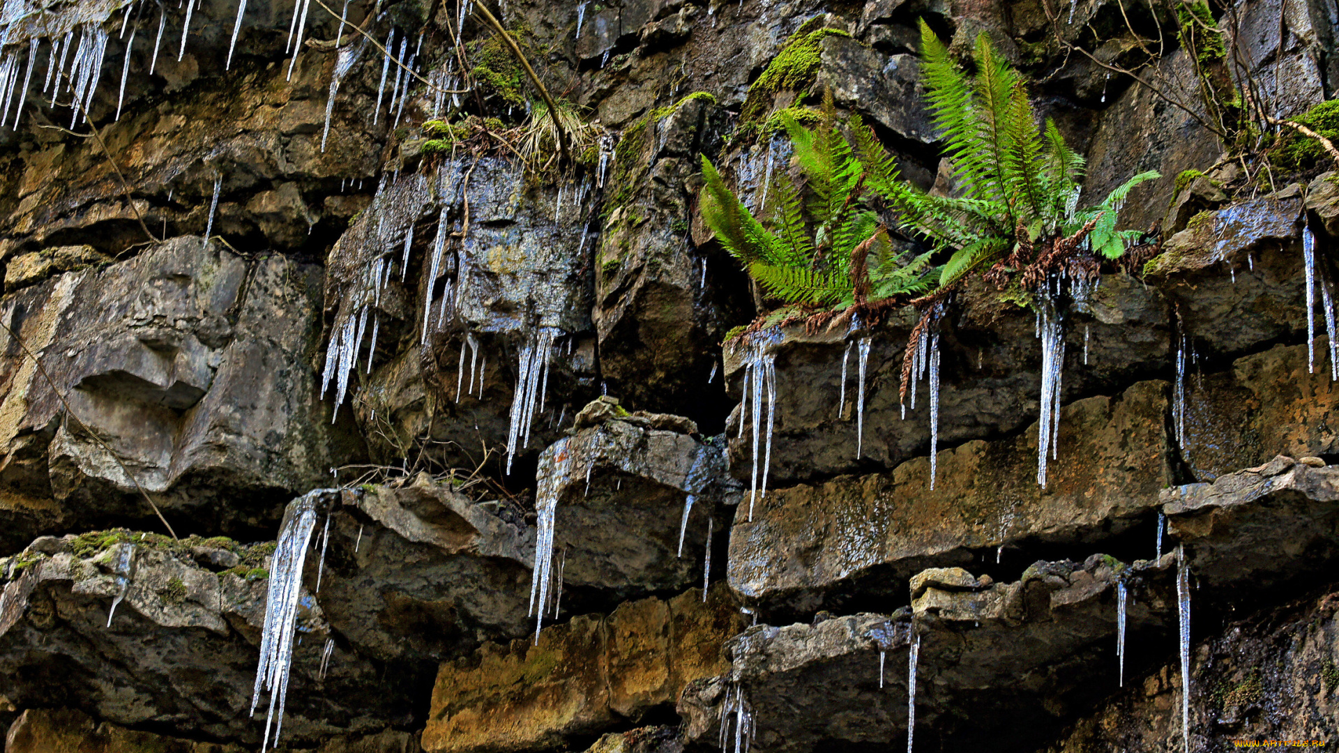 природа, другое, сосульки, скала