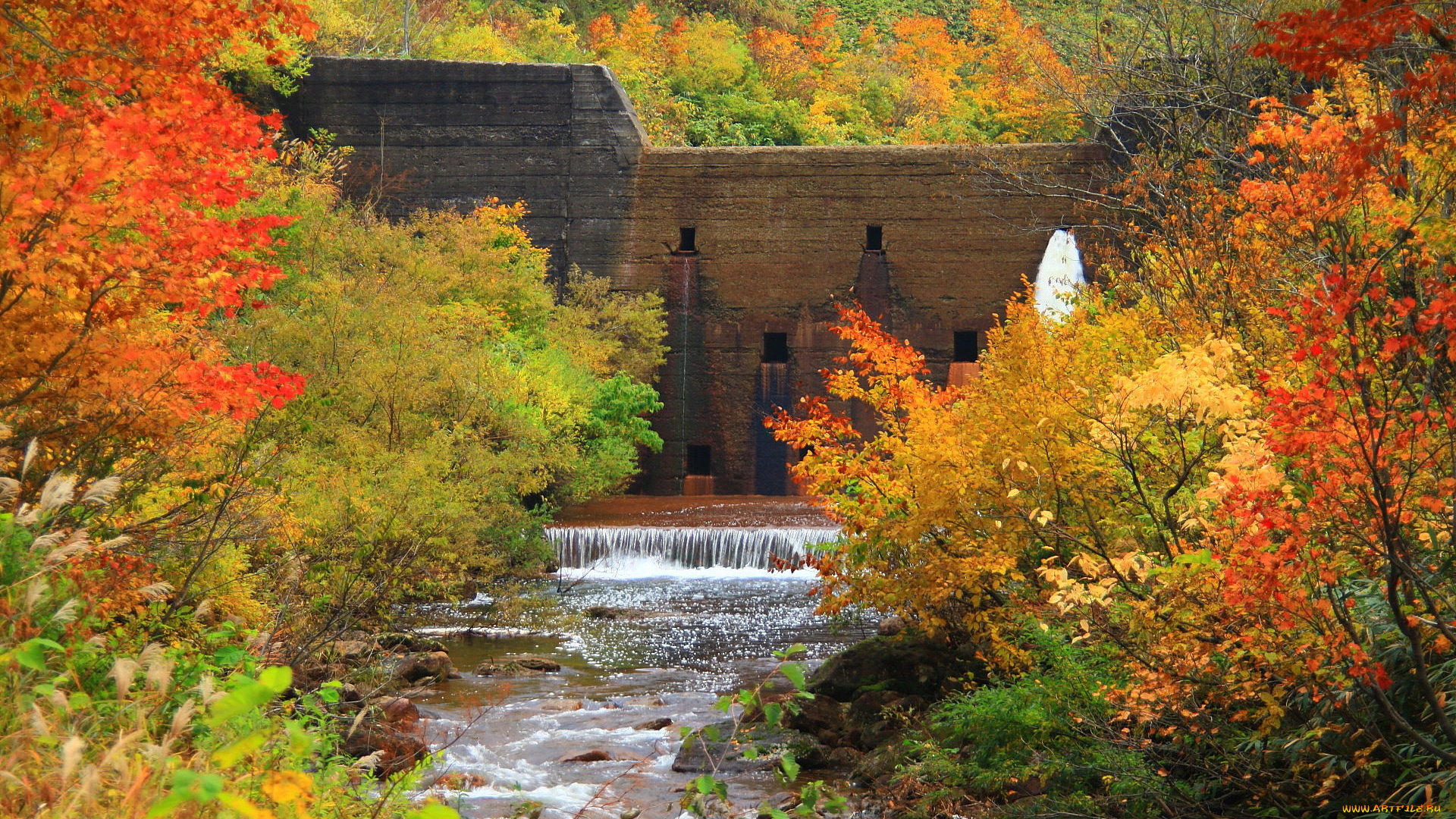 природа, реки, озера, река, деревья, дамба