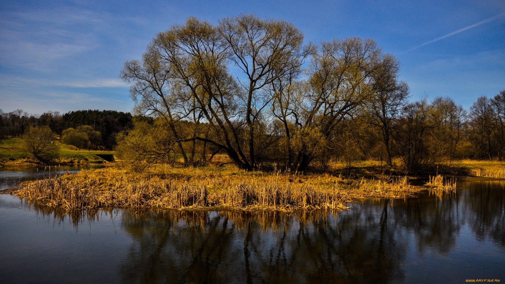 природа, реки, озера, река, небо, деревья