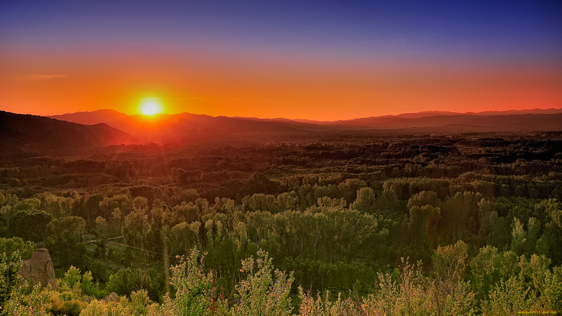 природа, восходы, закаты, закат, пейзаж, деревья