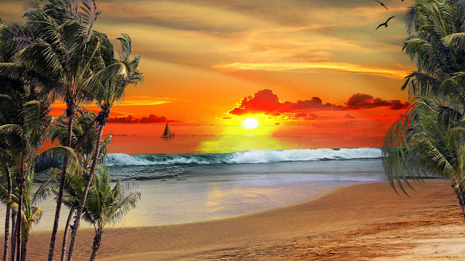 spring, break, 3д, графика, sea, undersea, море, чайки, яхта, пальмы, восход, волна, океан