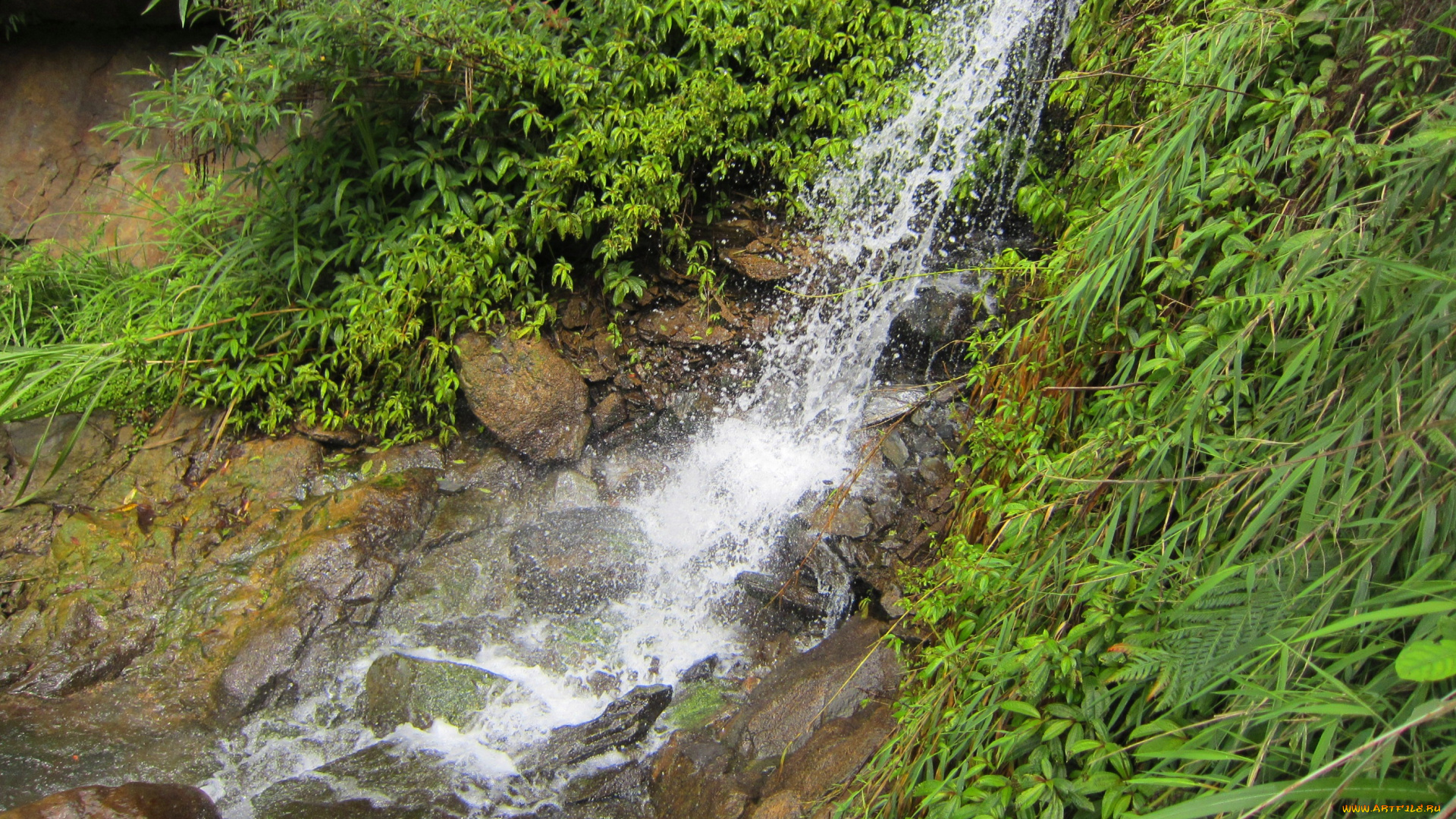 waterfalls, природа, водопады, растительность, камни, водопад