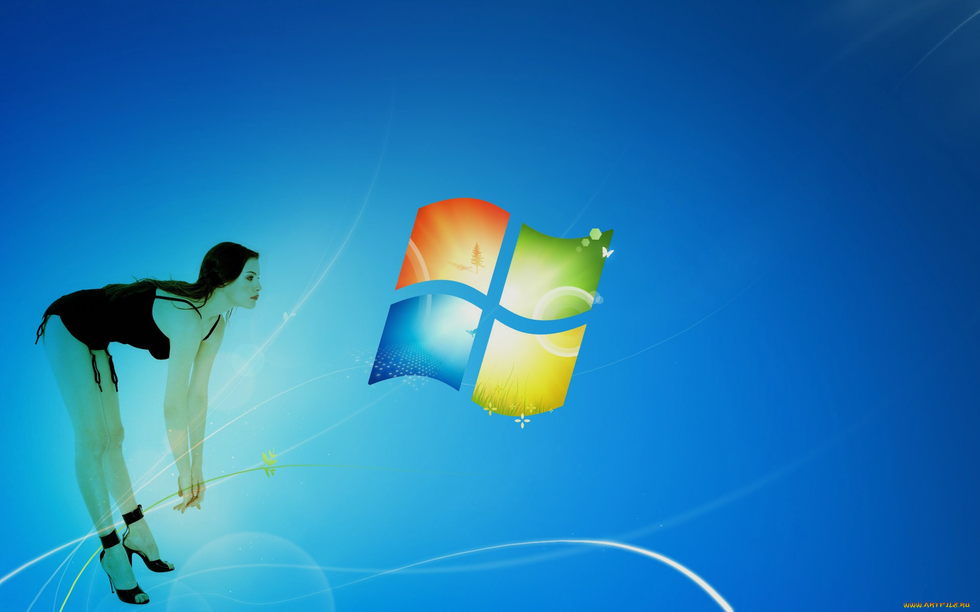 компьютеры, windows, xp