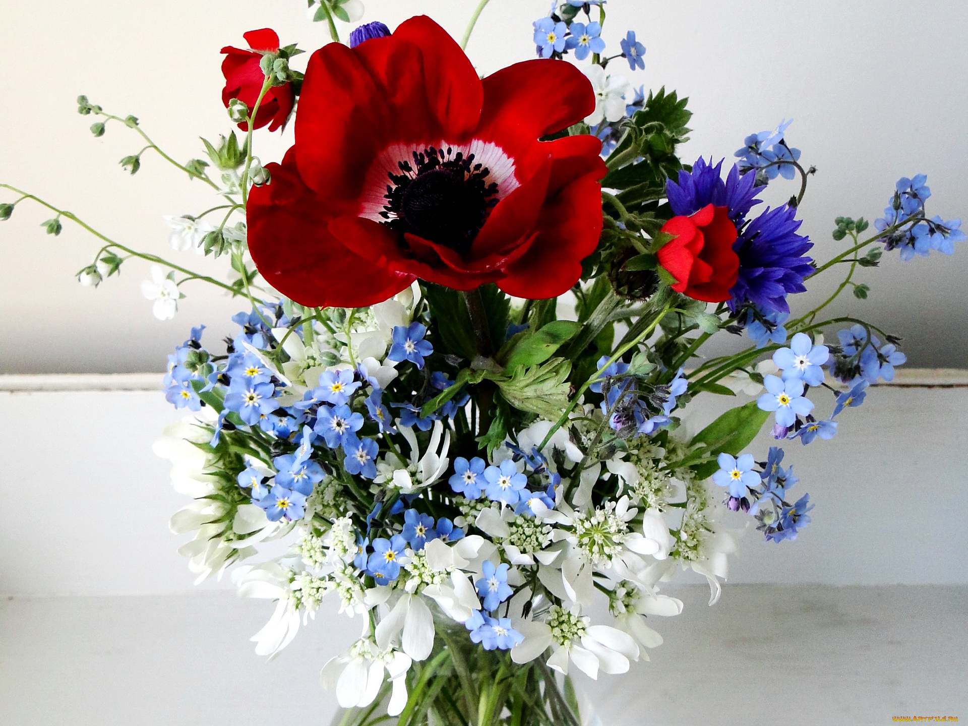 цветы, букеты, композиции, маки, ваза, букет