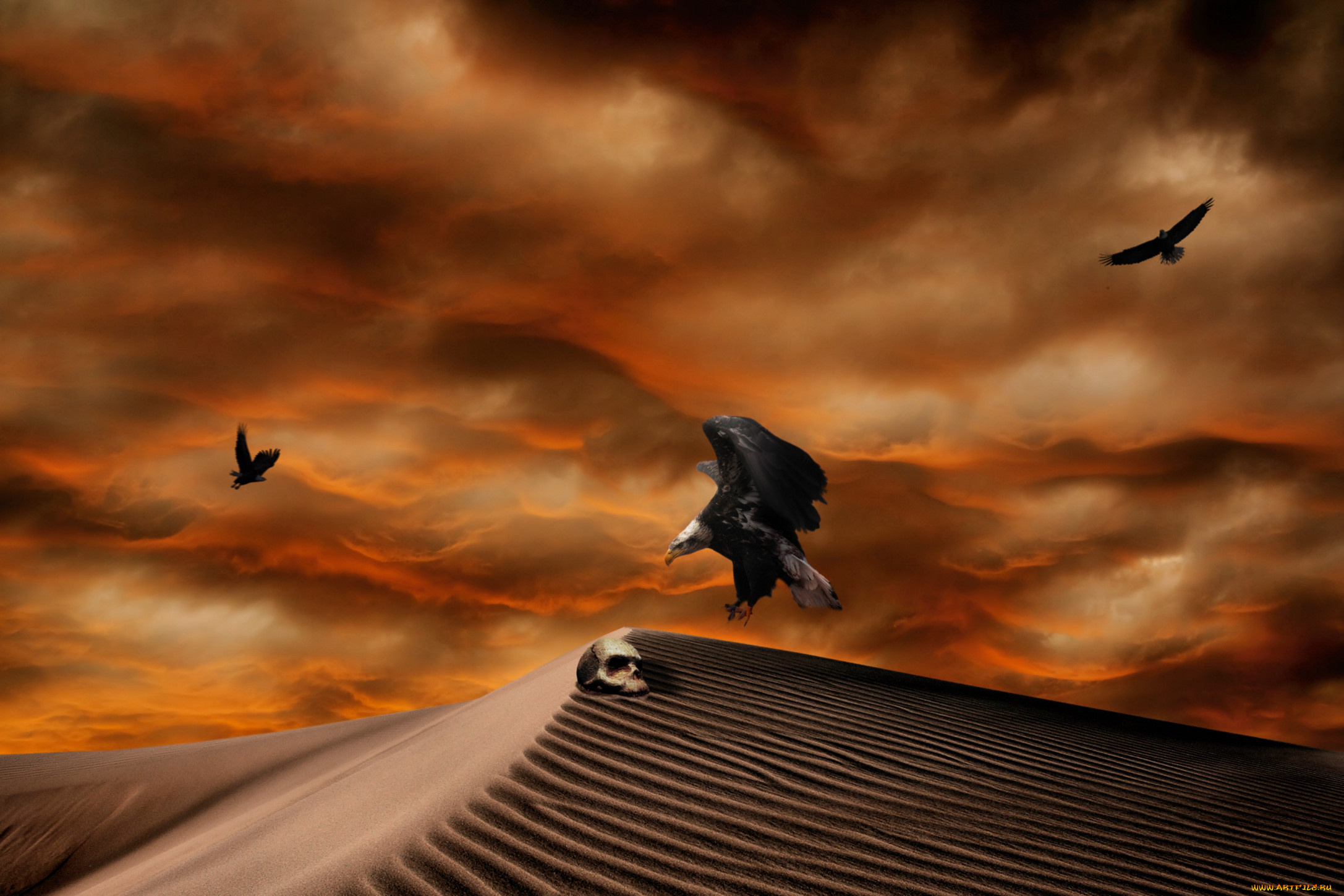 3д, графика, horror, ужас, тучи, песок, орлы, череп