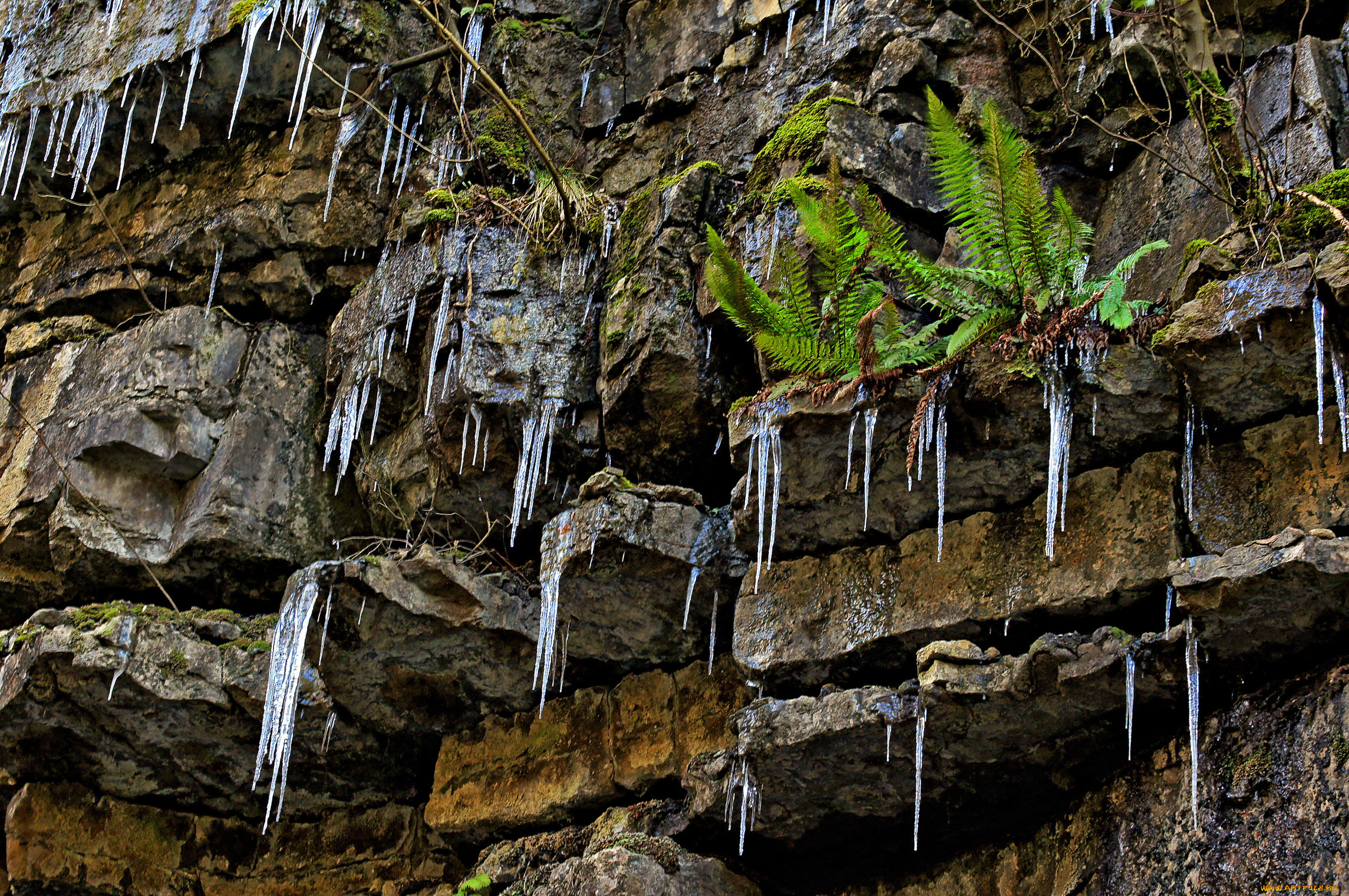 природа, другое, сосульки, скала