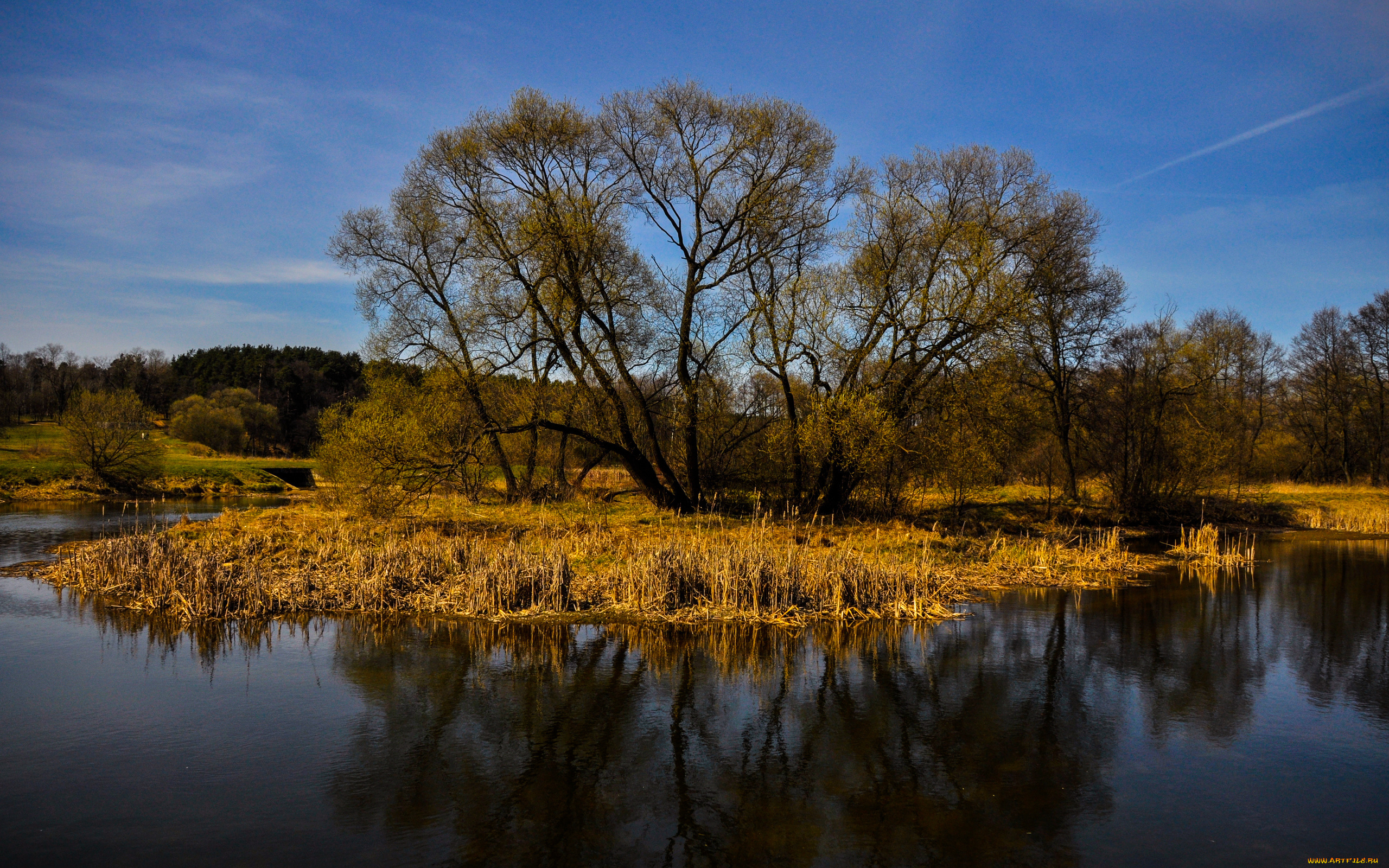 природа, реки, озера, река, небо, деревья