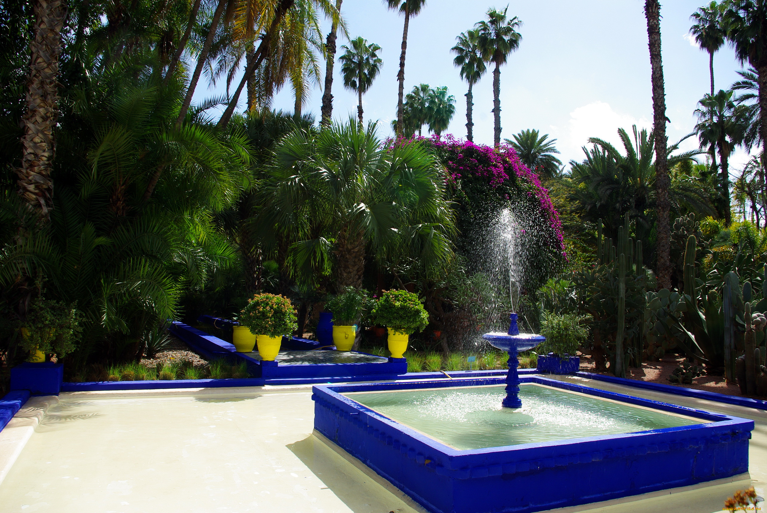 morocco, marrakech, jardin, majorelle, природа, парк, фонтан, пальмы, кактусы