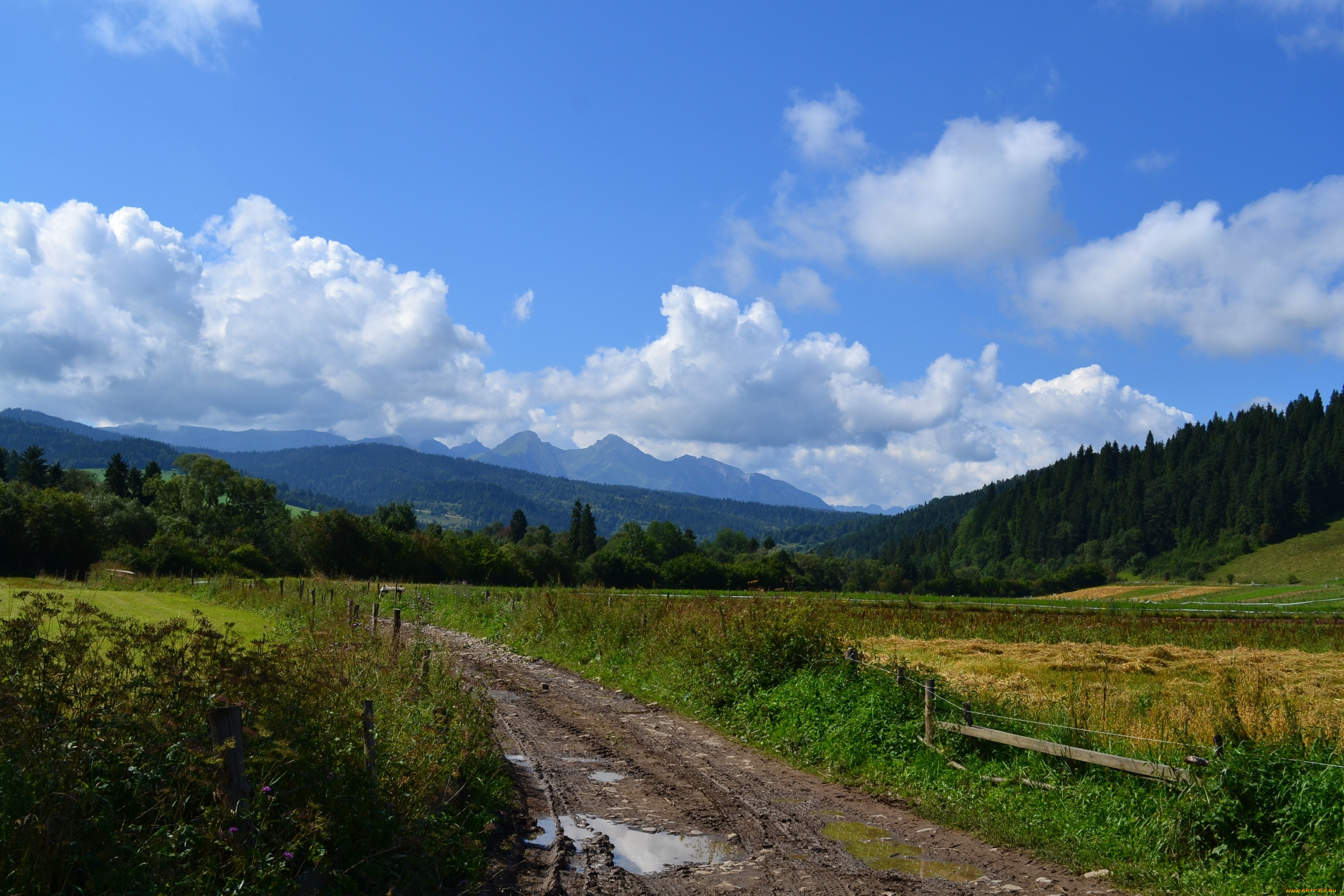 природа, дороги, дорога, трава, пейзаж, погле