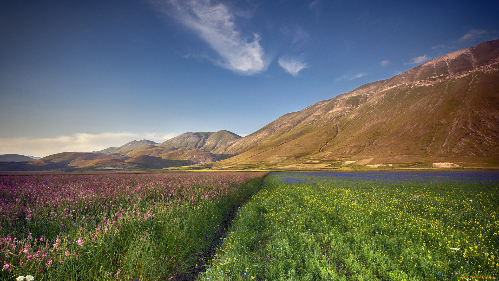 италия, природа, луга, цветы, горы, тропинка