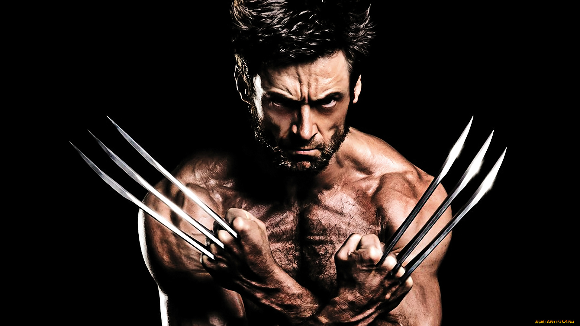 the, wolverine, кино, фильмы, росомаха