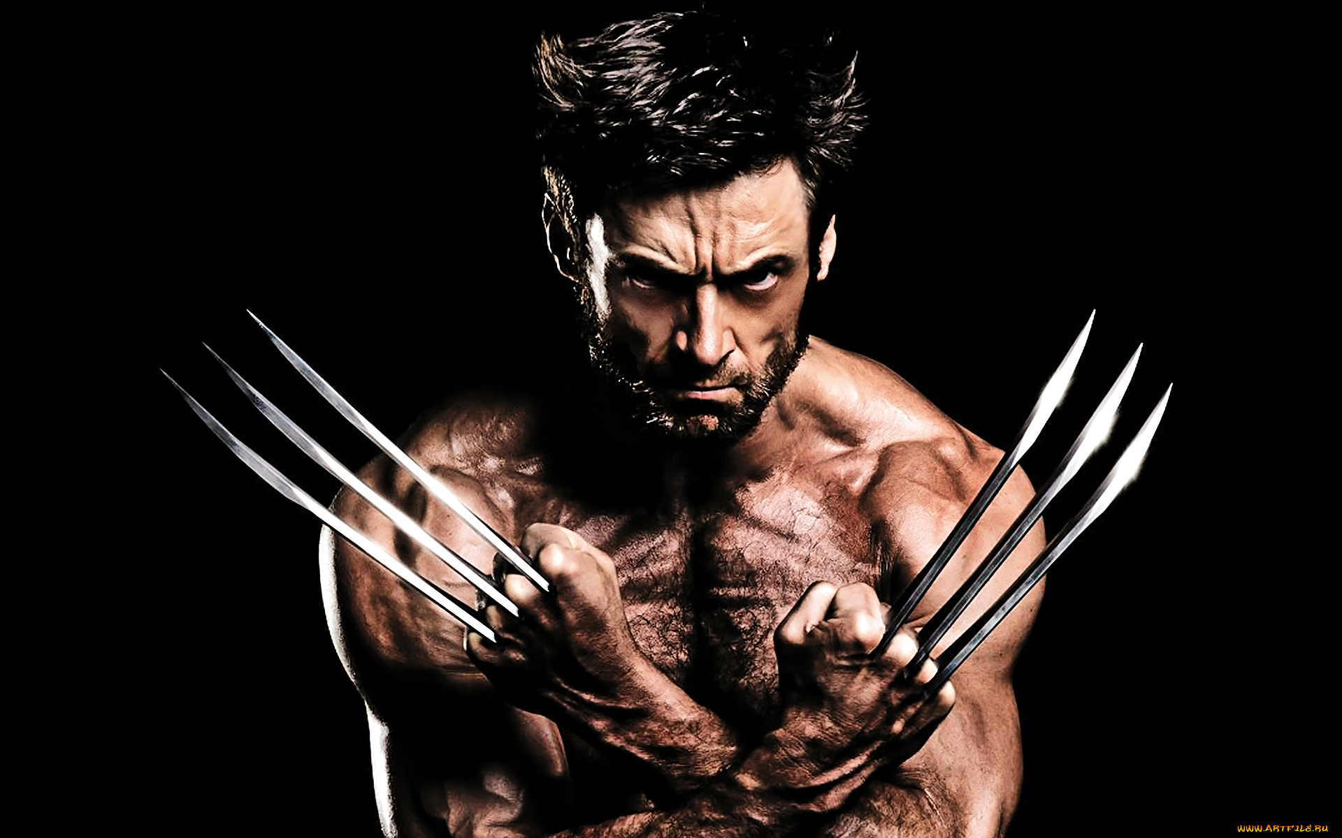 the, wolverine, кино, фильмы, росомаха