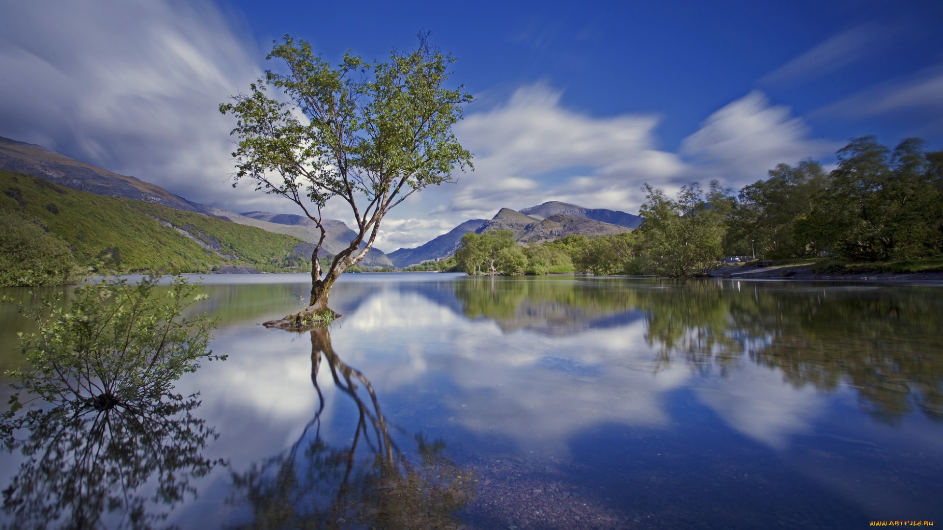 природа, реки, озера, облака, дерево, горы, река