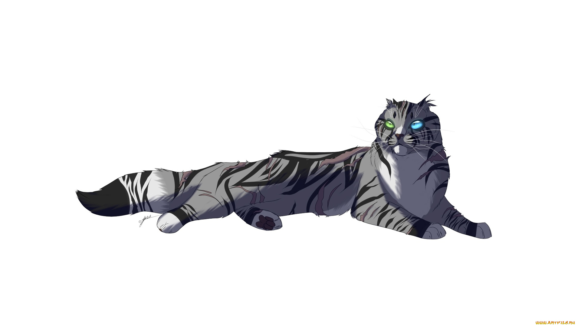 рисованные, животные, , коты, белый, фон, животное