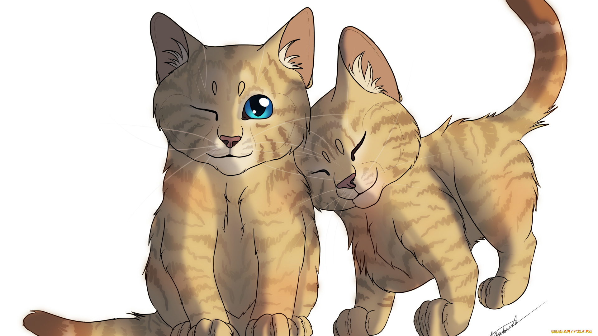 рисованные, животные, , коты, нежность, двое, котята, белый, фон