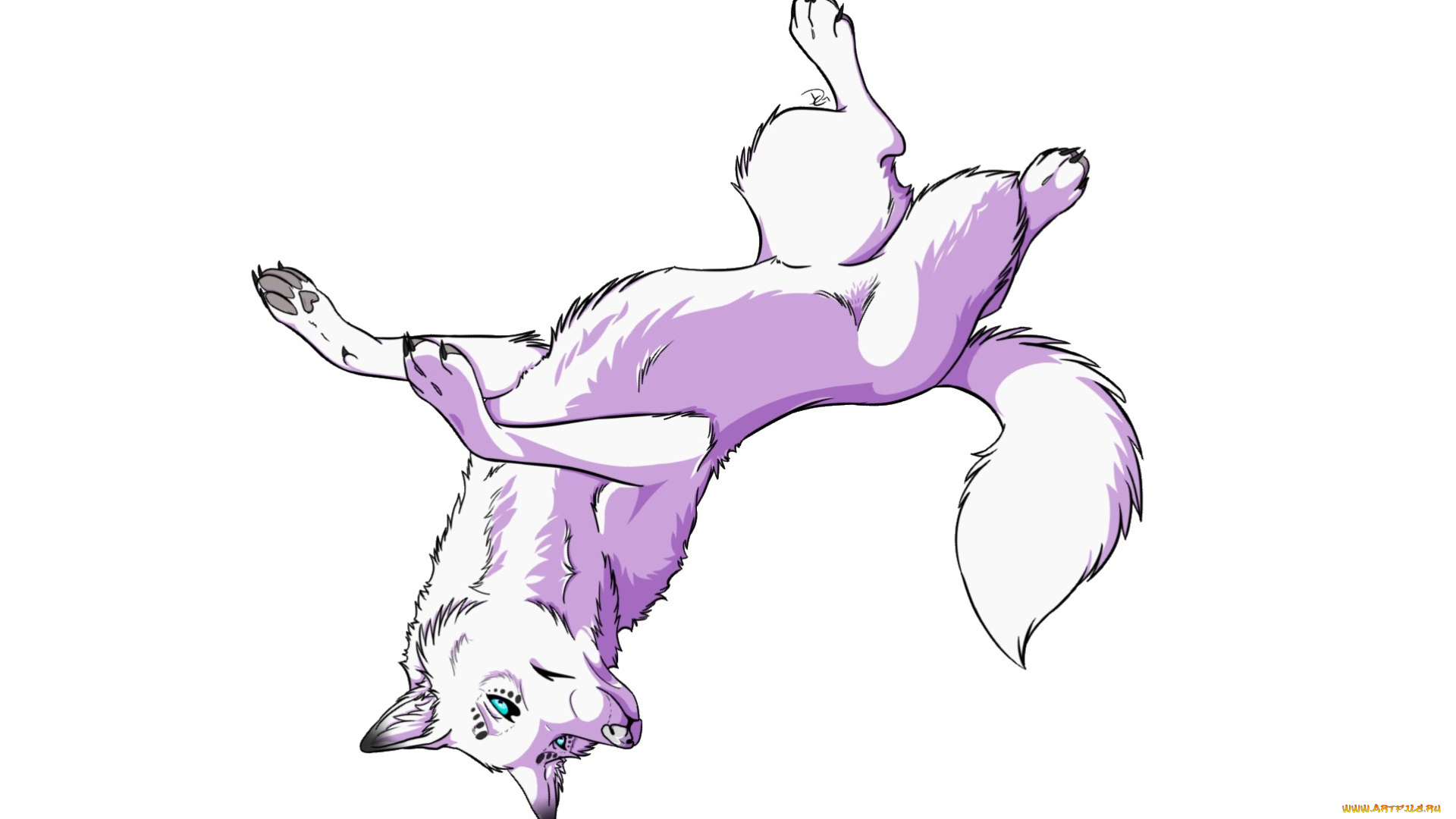 рисованные, животные, , собаки, животное, белый, фон