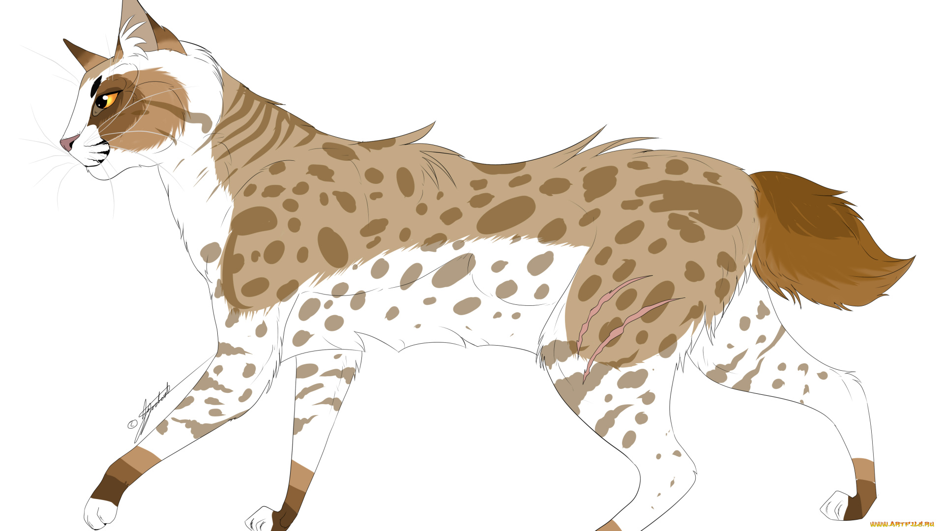 рисованные, животные, белый, фон, животное