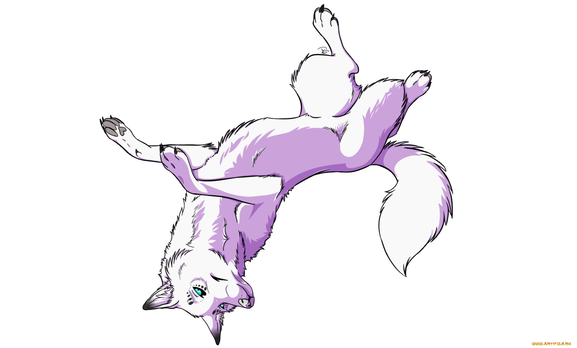 рисованные, животные, , собаки, животное, белый, фон