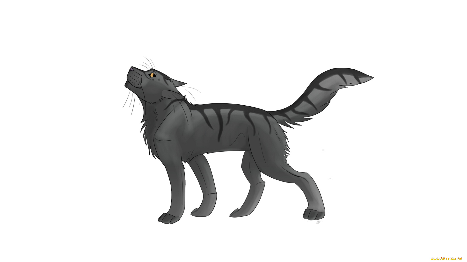 рисованные, животные, , волки, белый, фон, животное