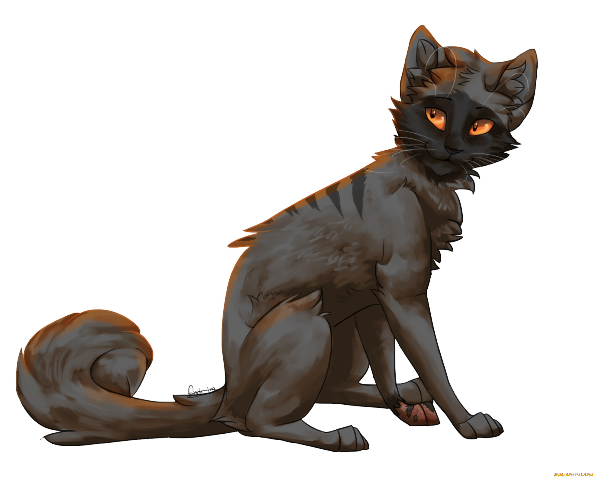 рисованные, животные, , коты, коричневая, белый, фон