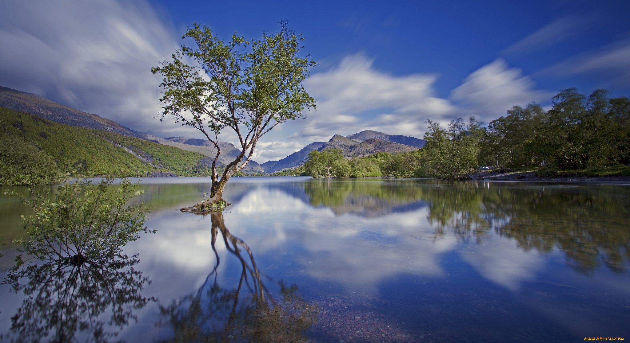 природа, реки, озера, облака, дерево, горы, река