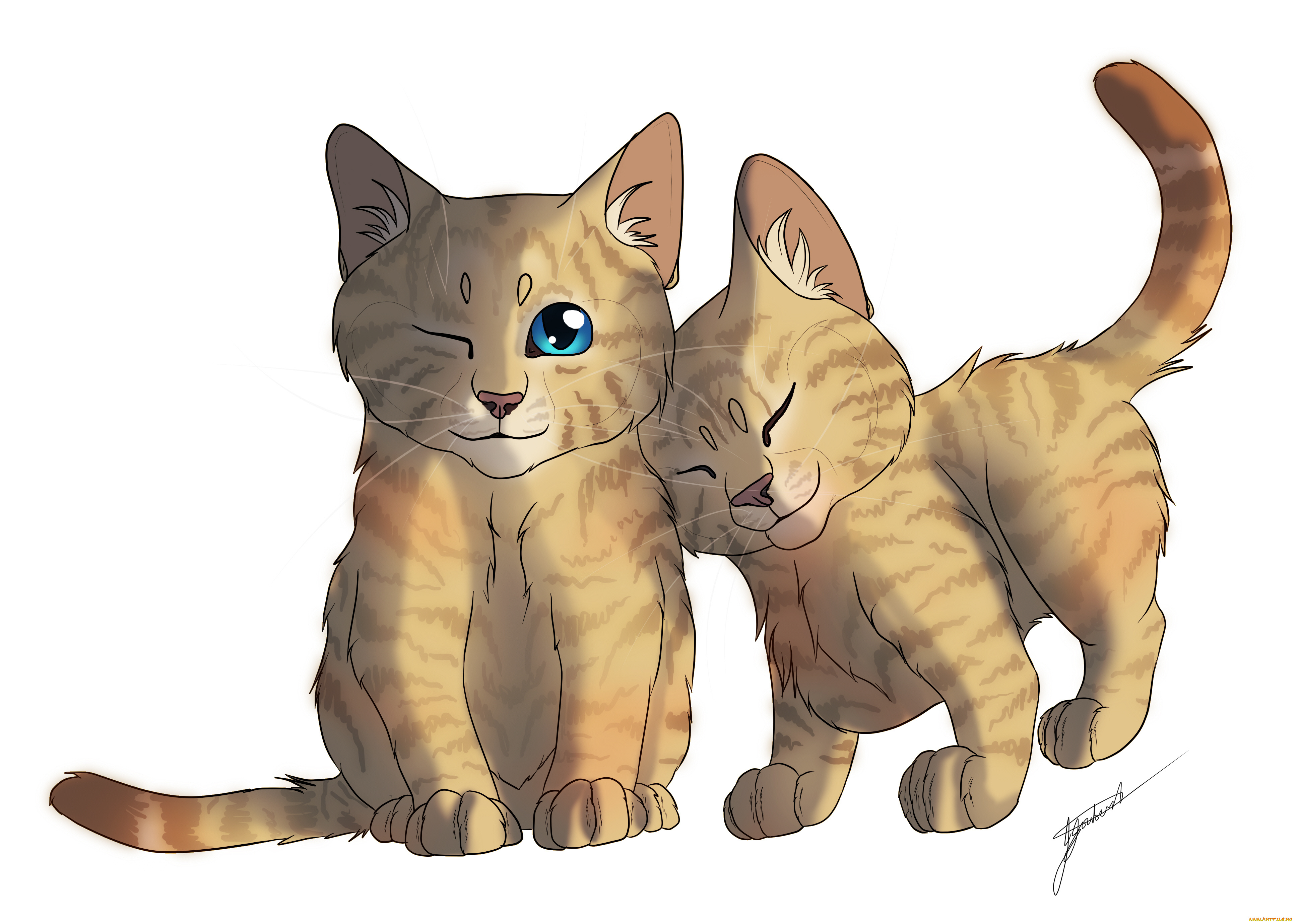 рисованные, животные, , коты, нежность, двое, котята, белый, фон