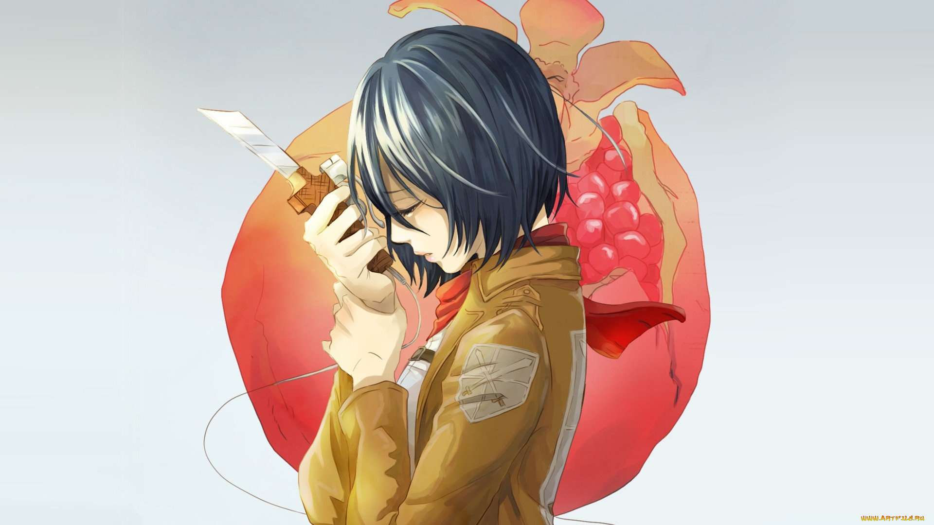 аниме, shingeki, no, kyojin, микаса