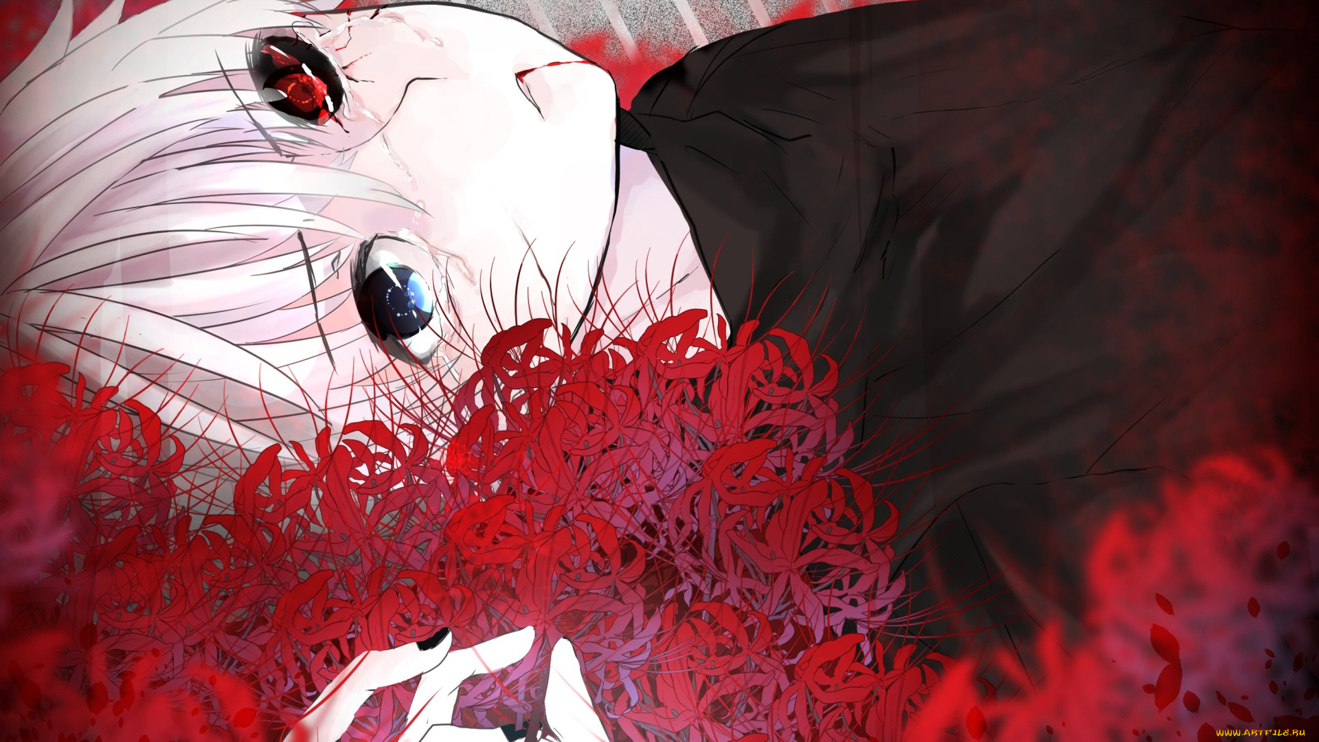 аниме, tokyo, ghoul, канеки