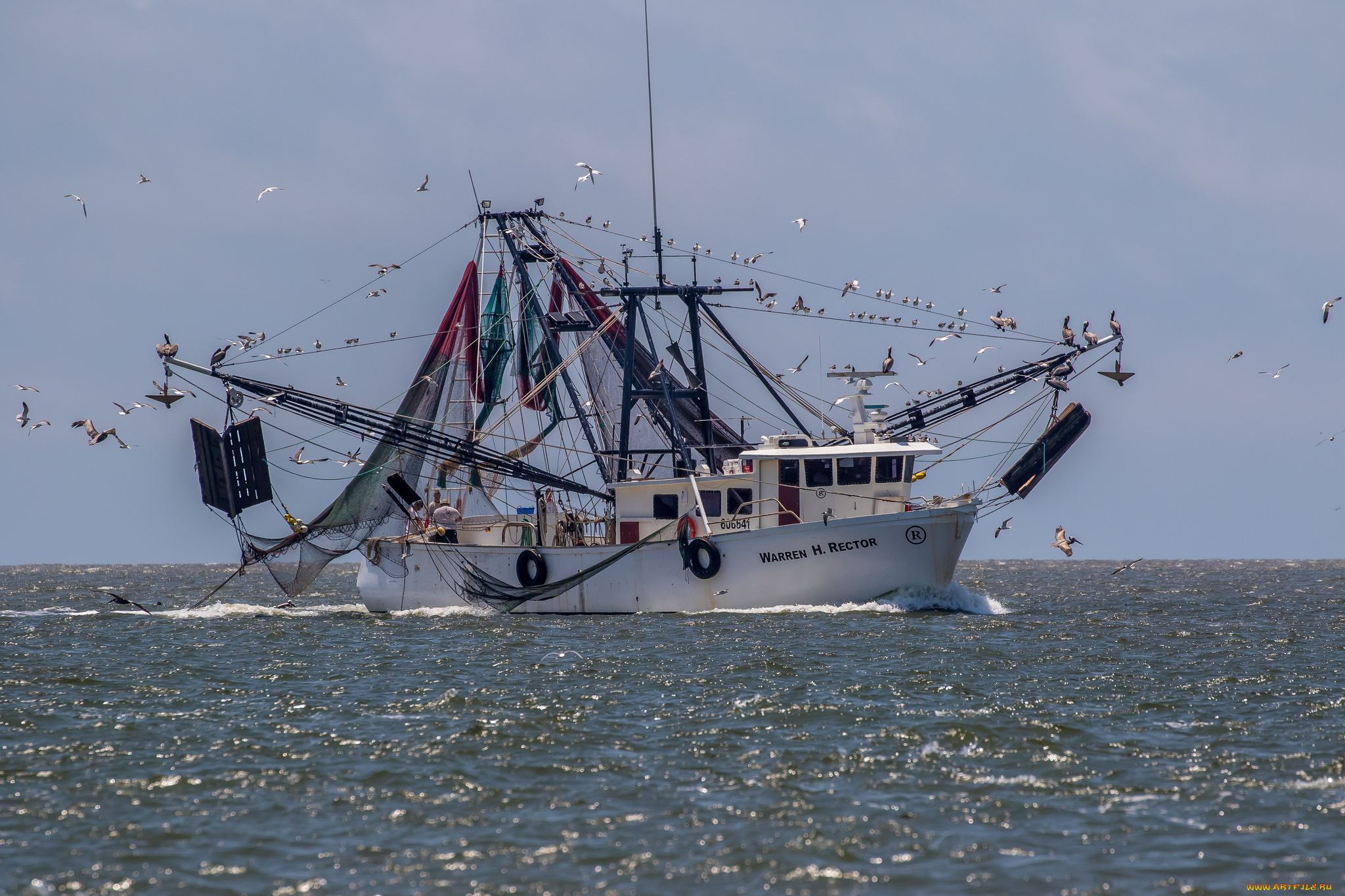 корабли, другое, рыболов