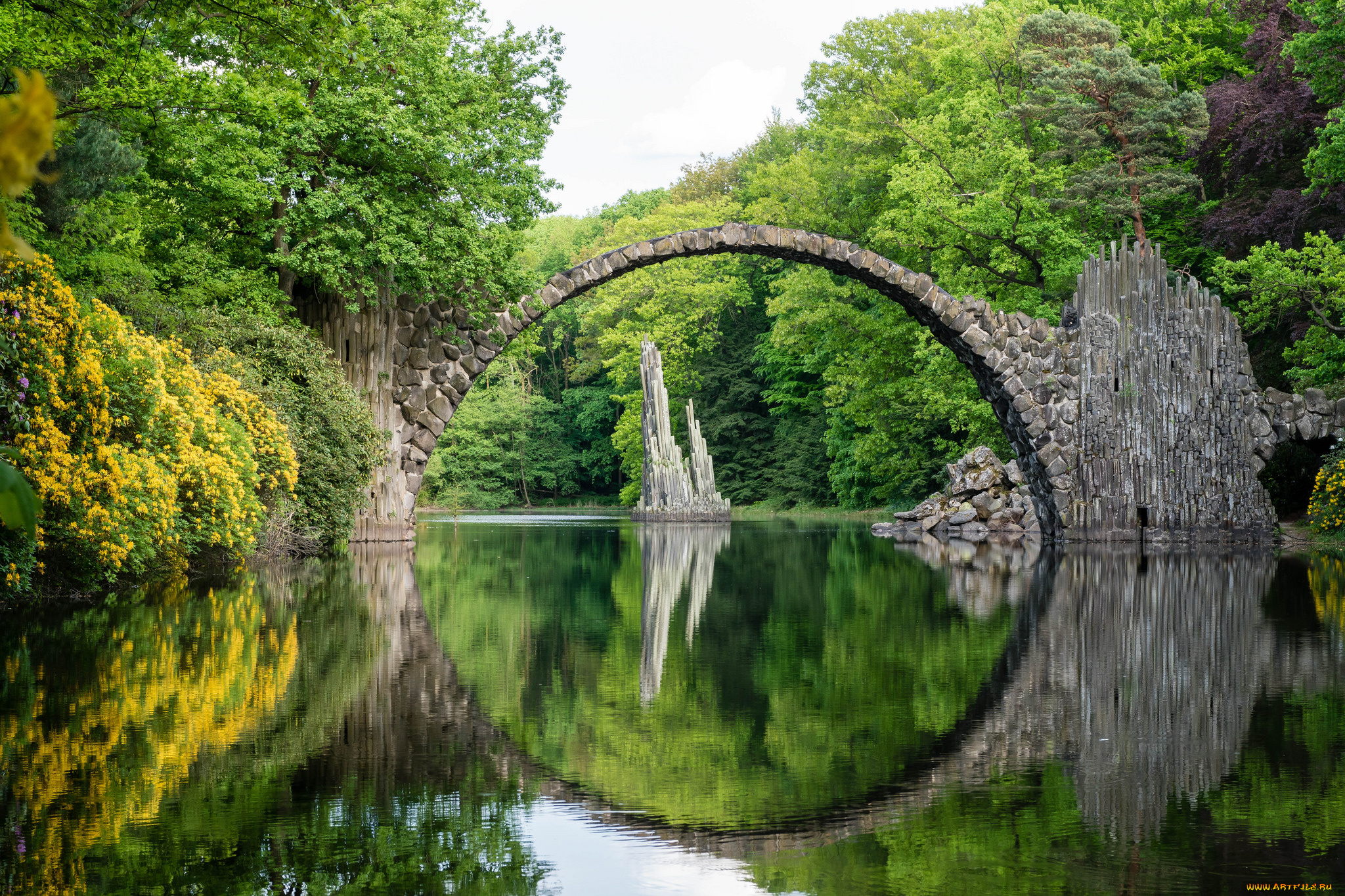 природа, реки, озера, река, лес