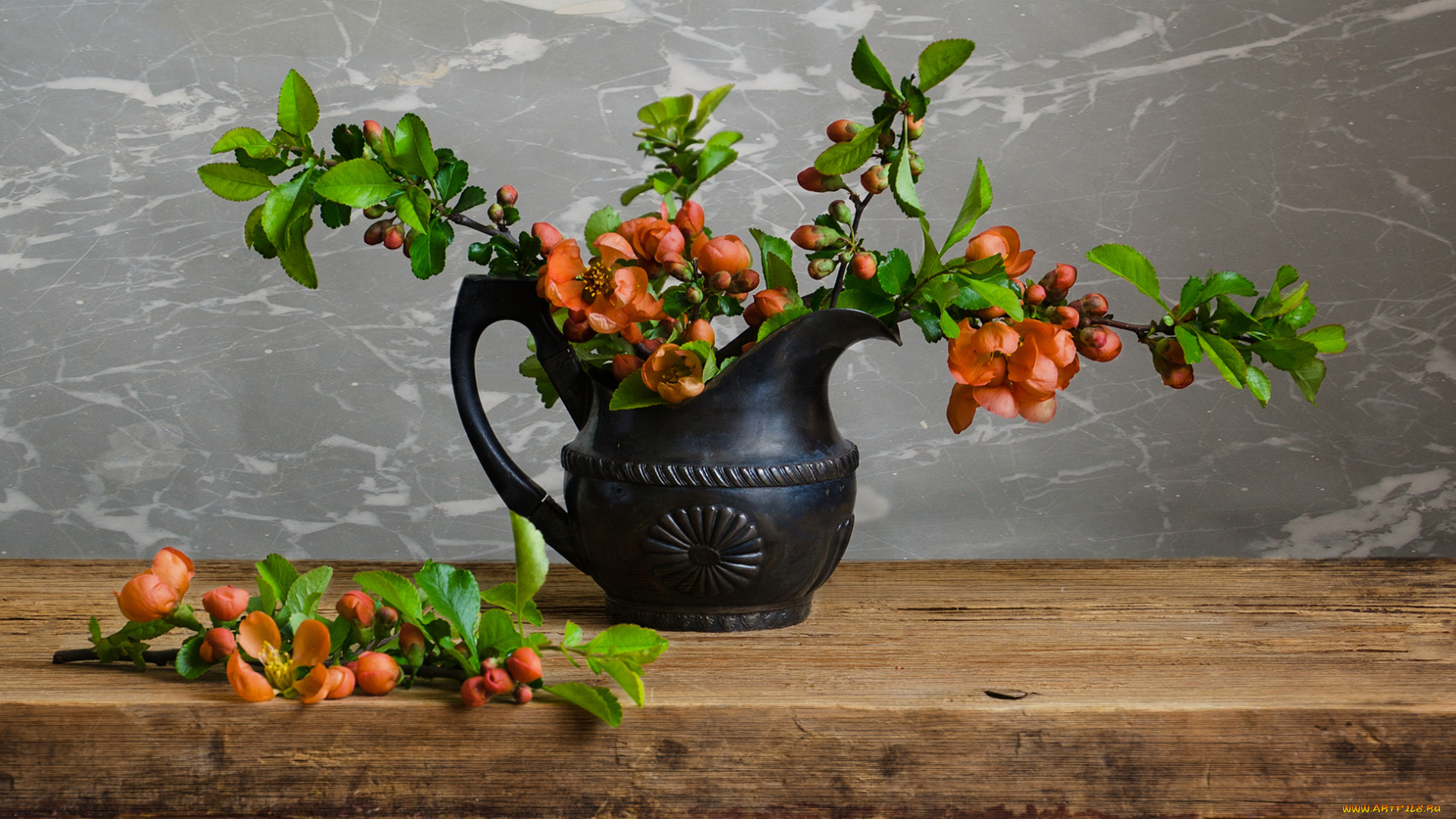 цветы, айва, дерево, ветка, айвы, мрамор