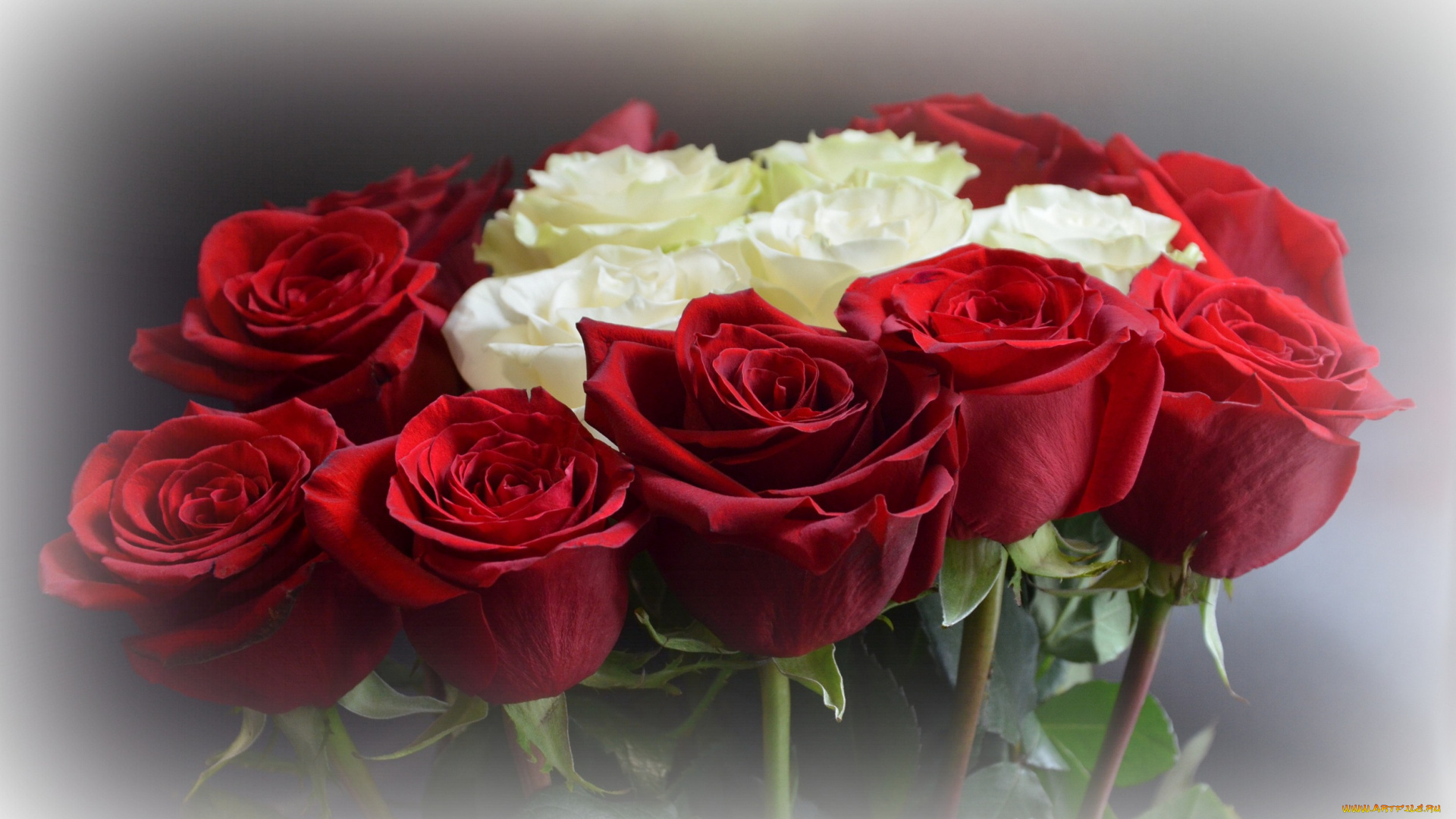 цветы, розы, blossoms, leaves, petals, bud, rose, цветение, листья, лепестки, роза, бутон