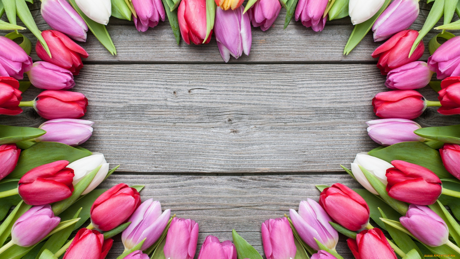 цветы, тюльпаны, сердце, доски
