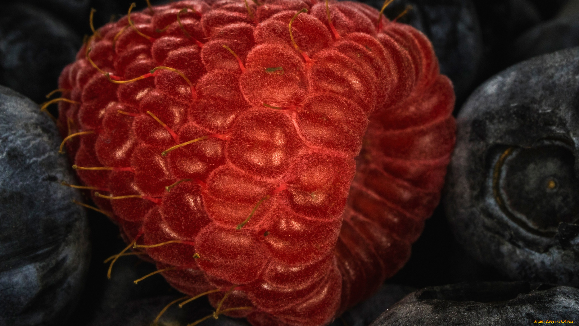 еда, малина, ягода