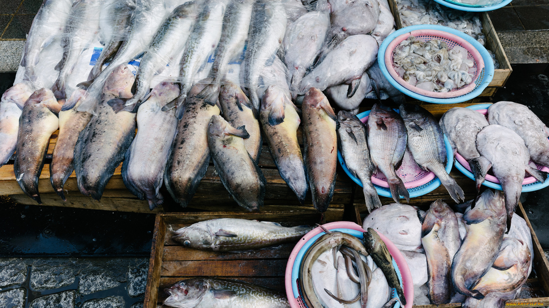 еда, рыба, , морепродукты, , суши, , роллы, деликатесы