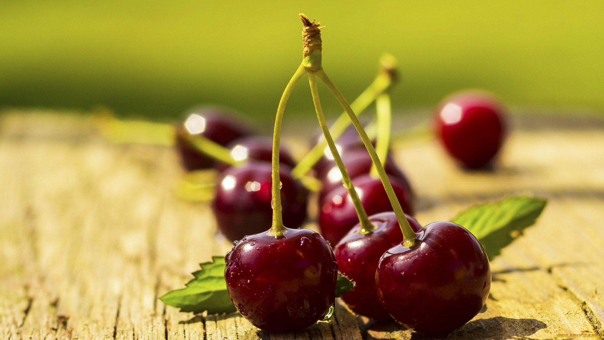 еда, вишня, , черешня, сочная, ягода, черешня, вкусная