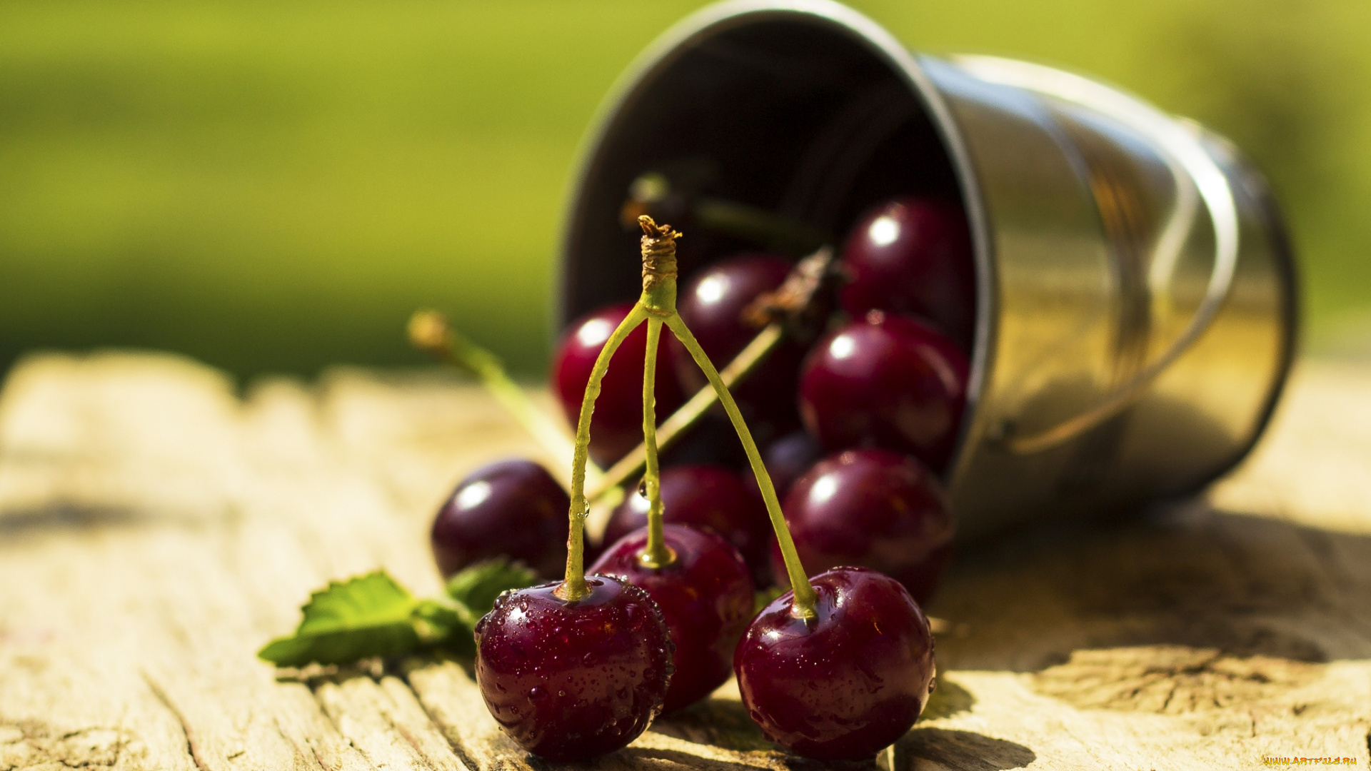 еда, вишня, , черешня, вкусная, сочная, ягода, черешня