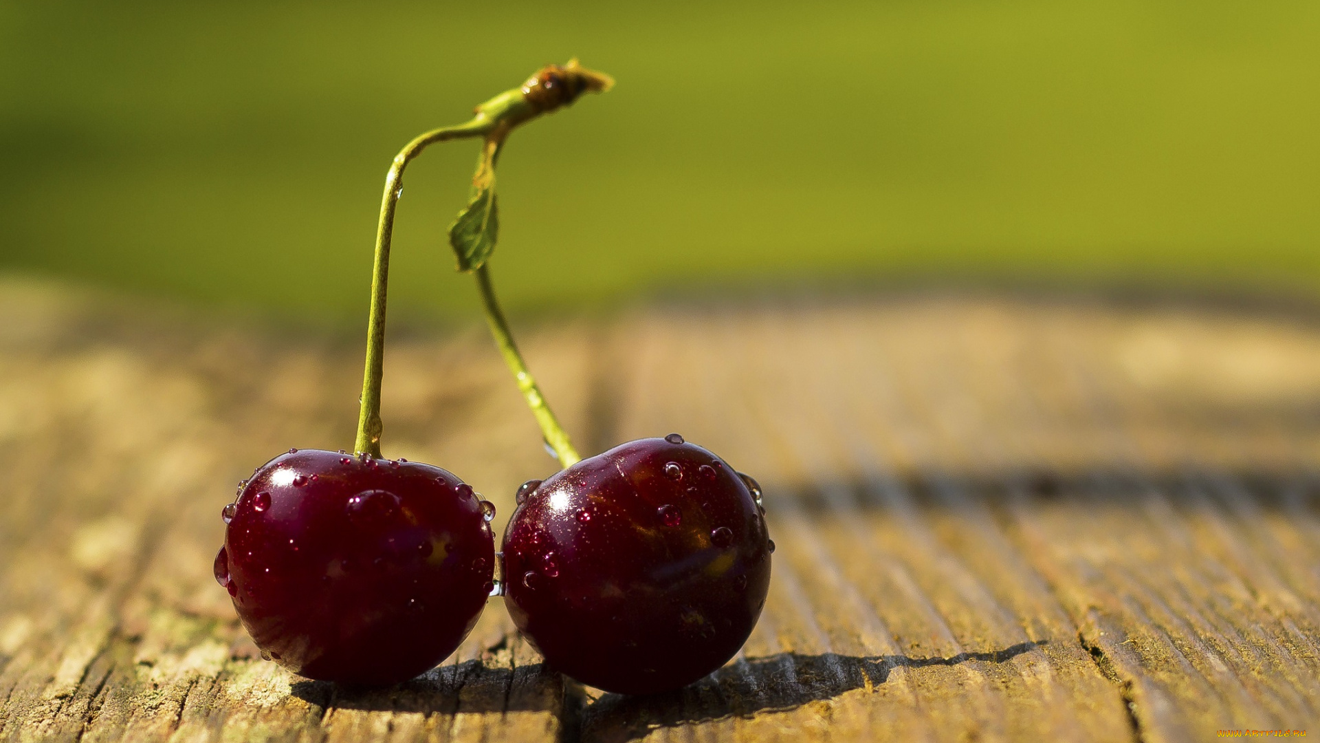 еда, вишня, , черешня, вкусная, сочная, ягода, черешня