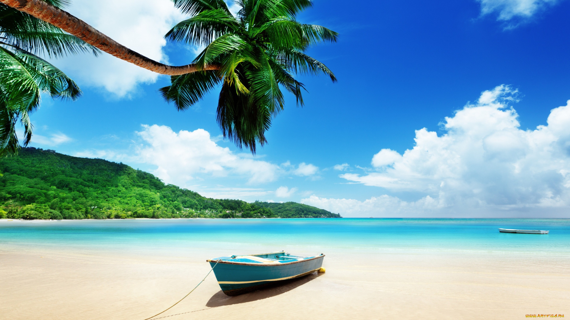 корабли, лодки, , шлюпки, лодка, пальма, тропики, море