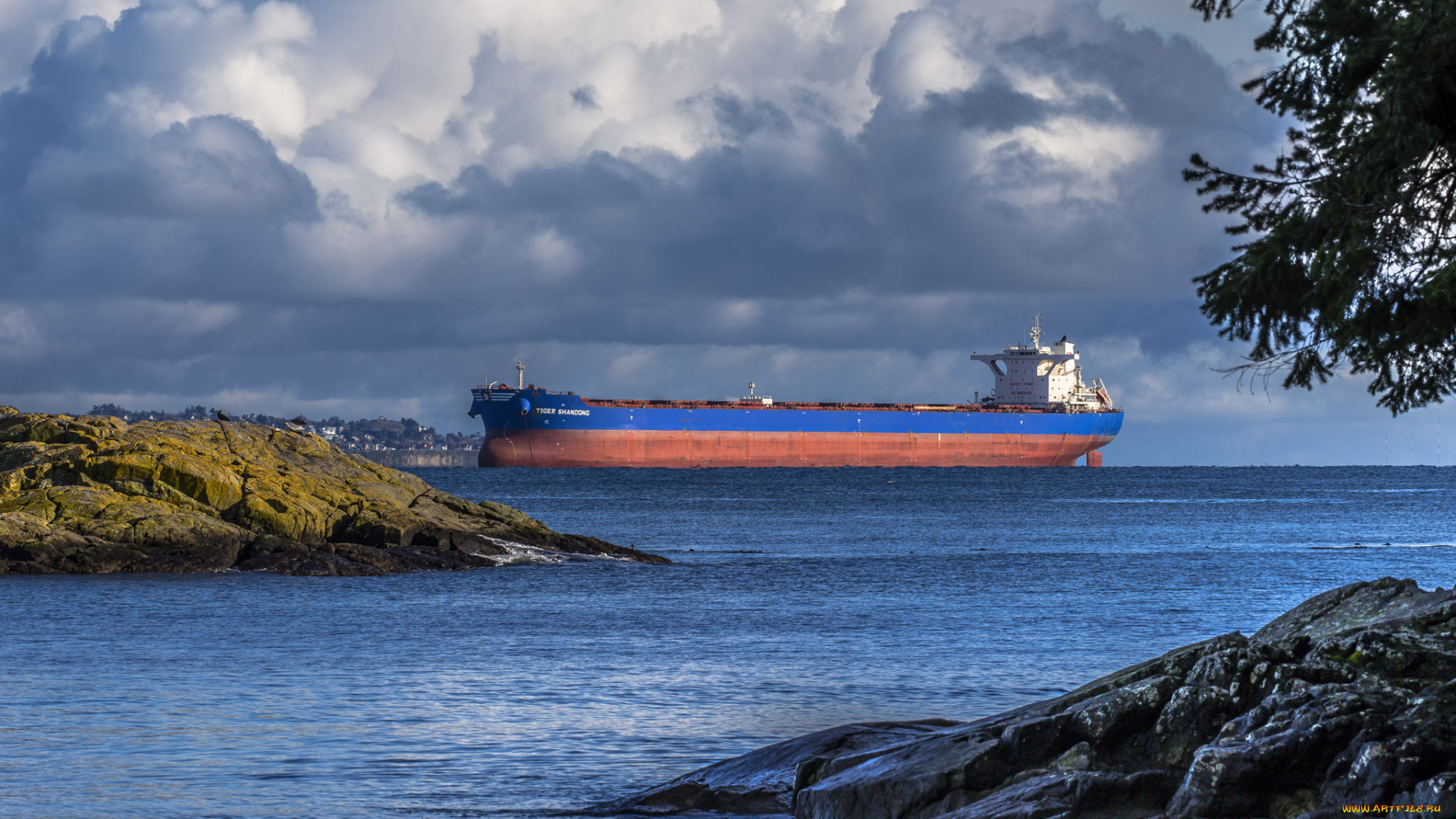 корабли, танкеры, танкер