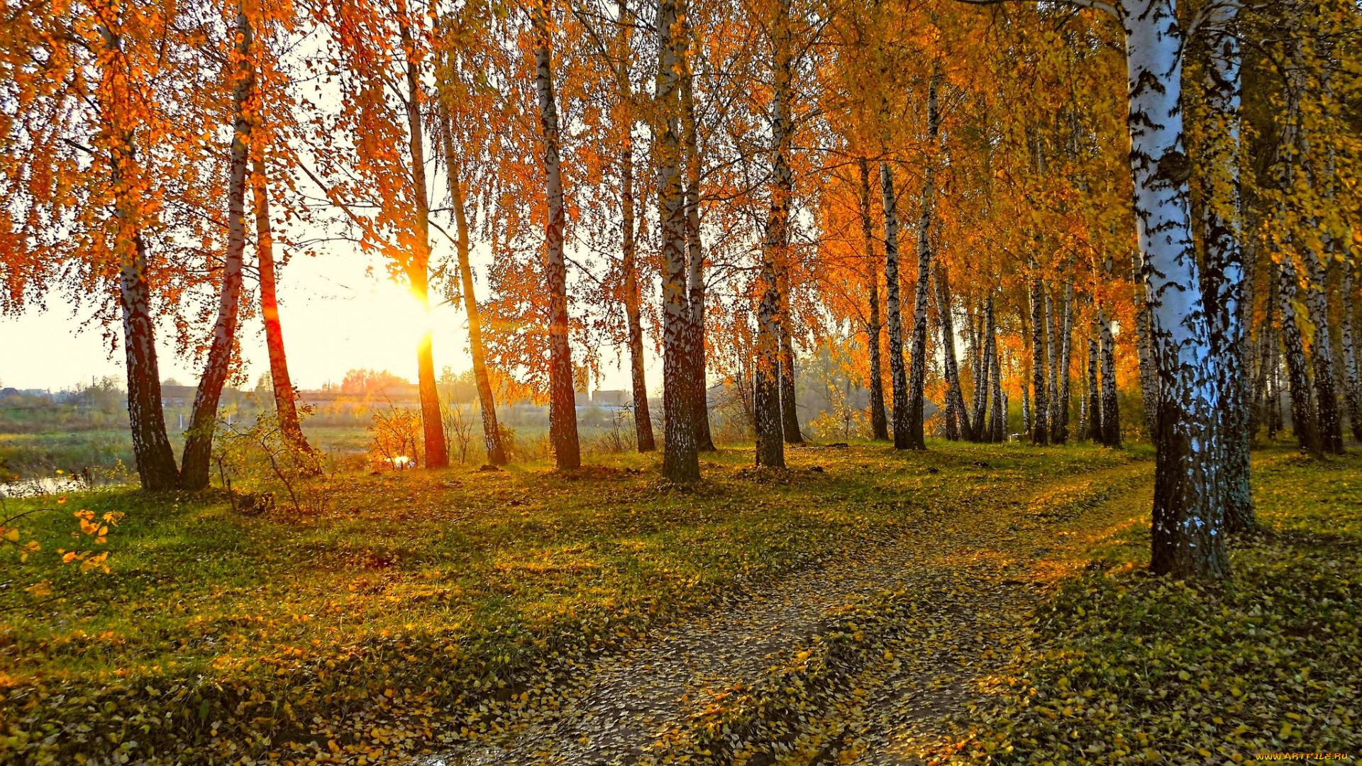 природа, дороги, тракт