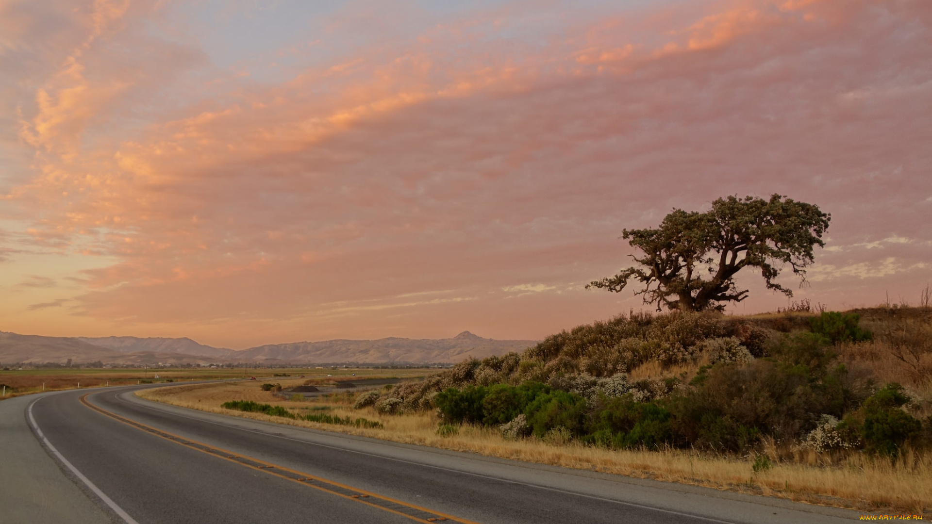 природа, дороги, тракт
