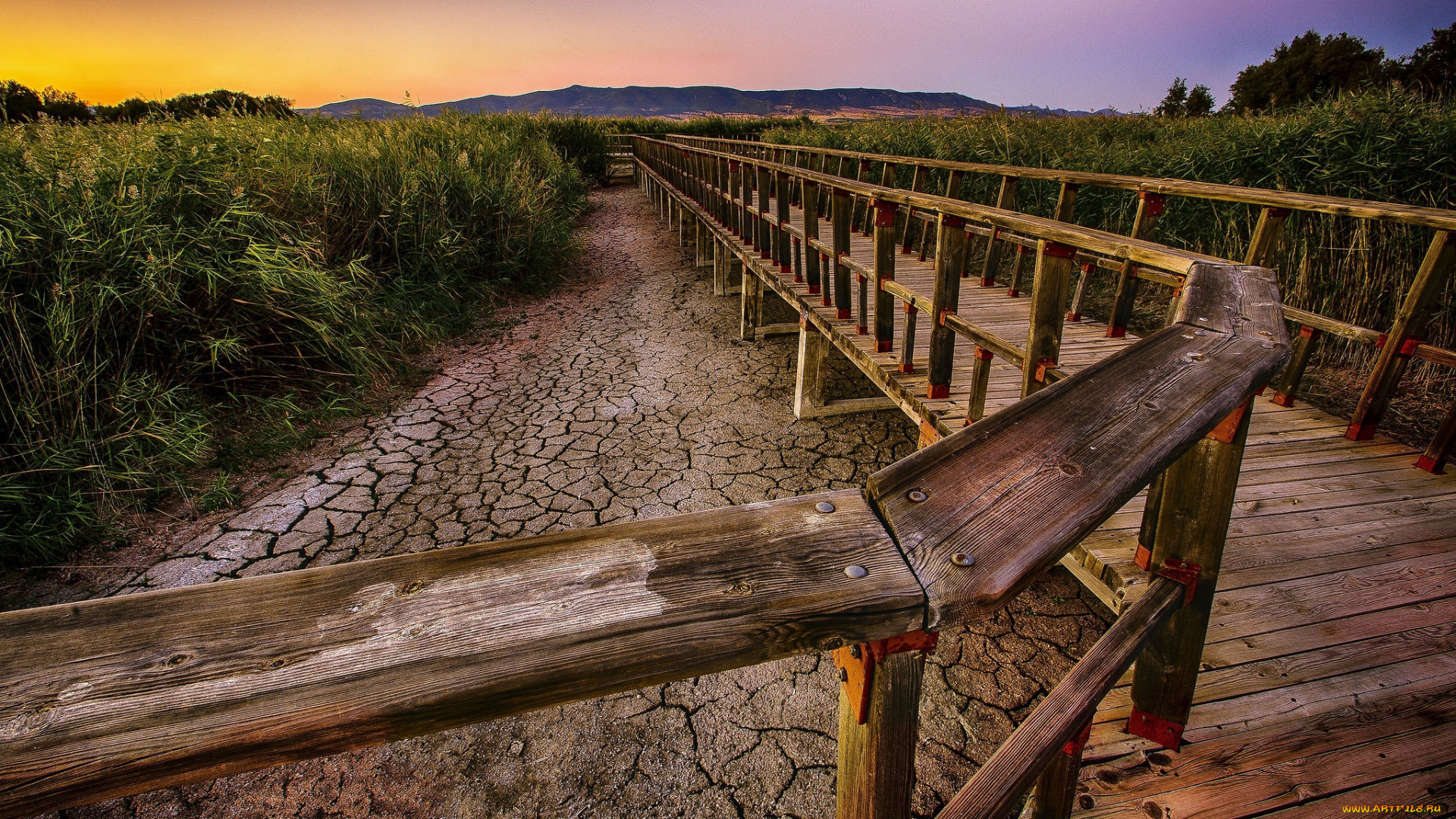 природа, дороги, тракт