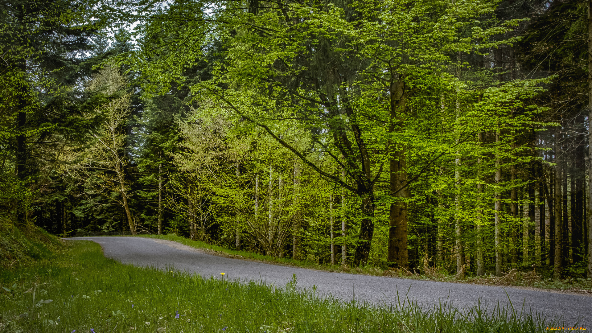 природа, дороги, тракт