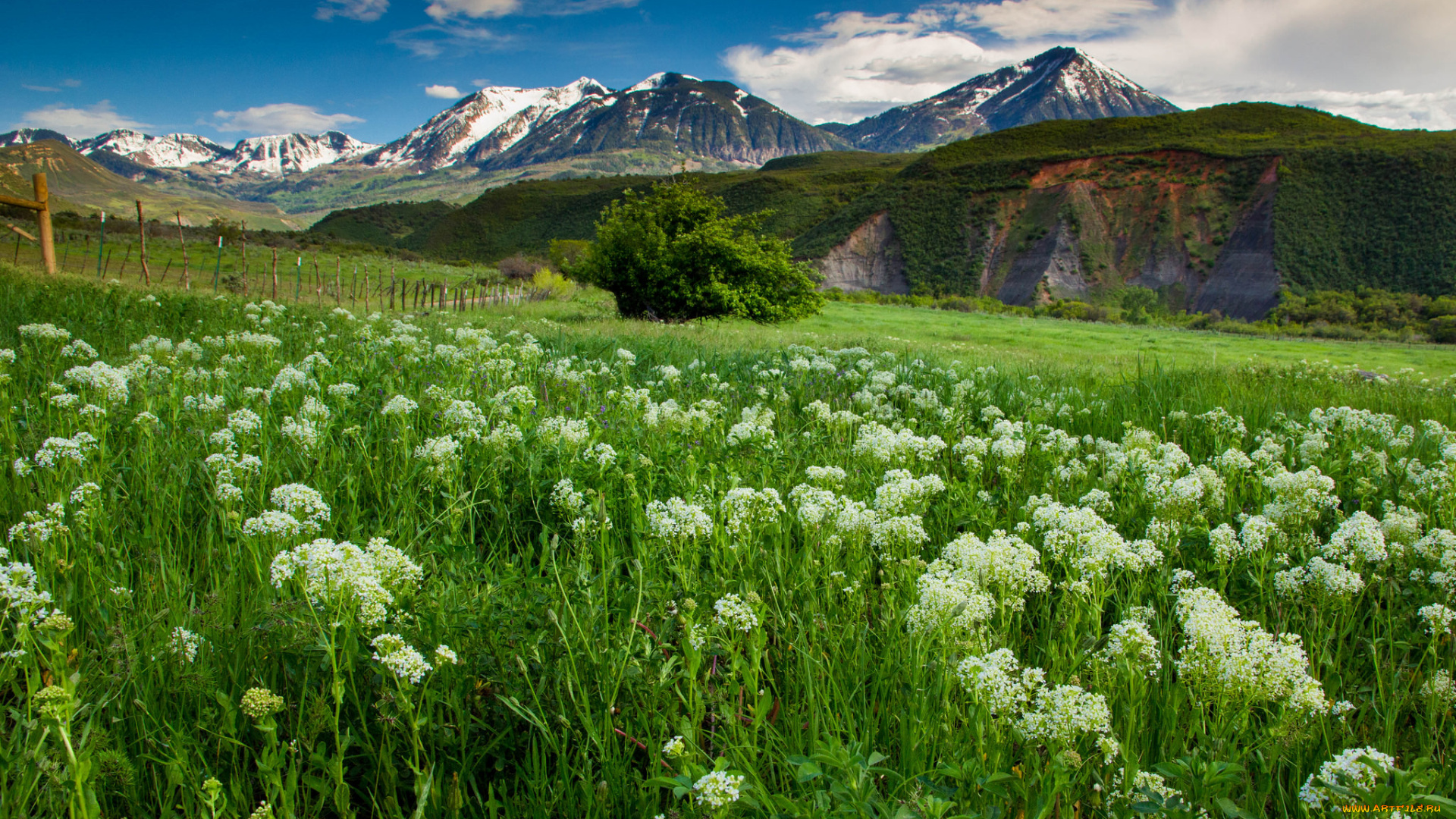 природа, горы, простор