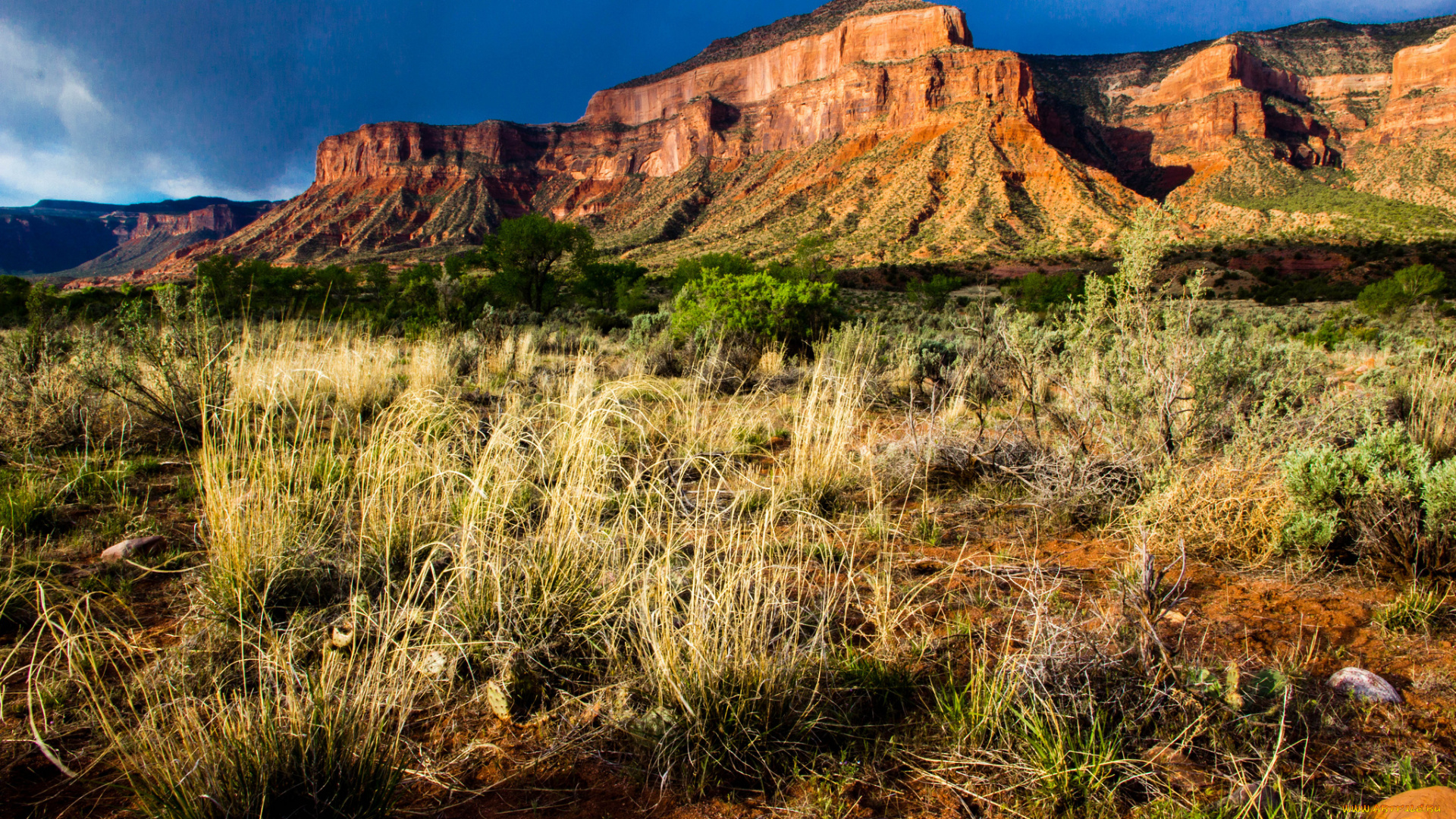 природа, горы, простор