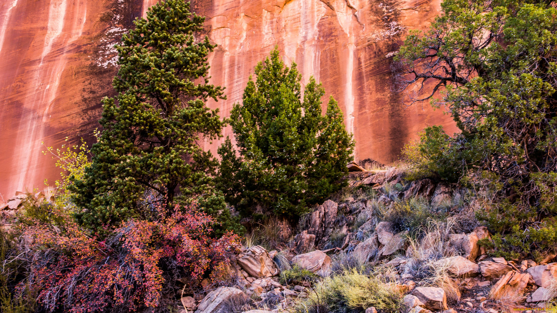 природа, горы, простор