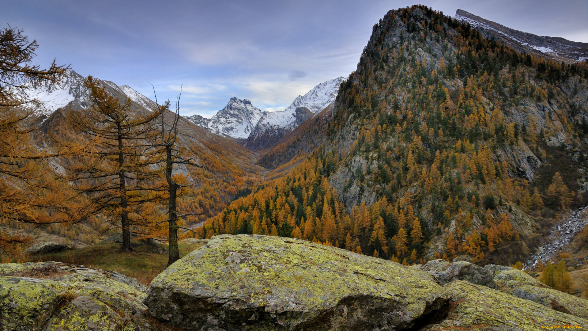 природа, горы, простор