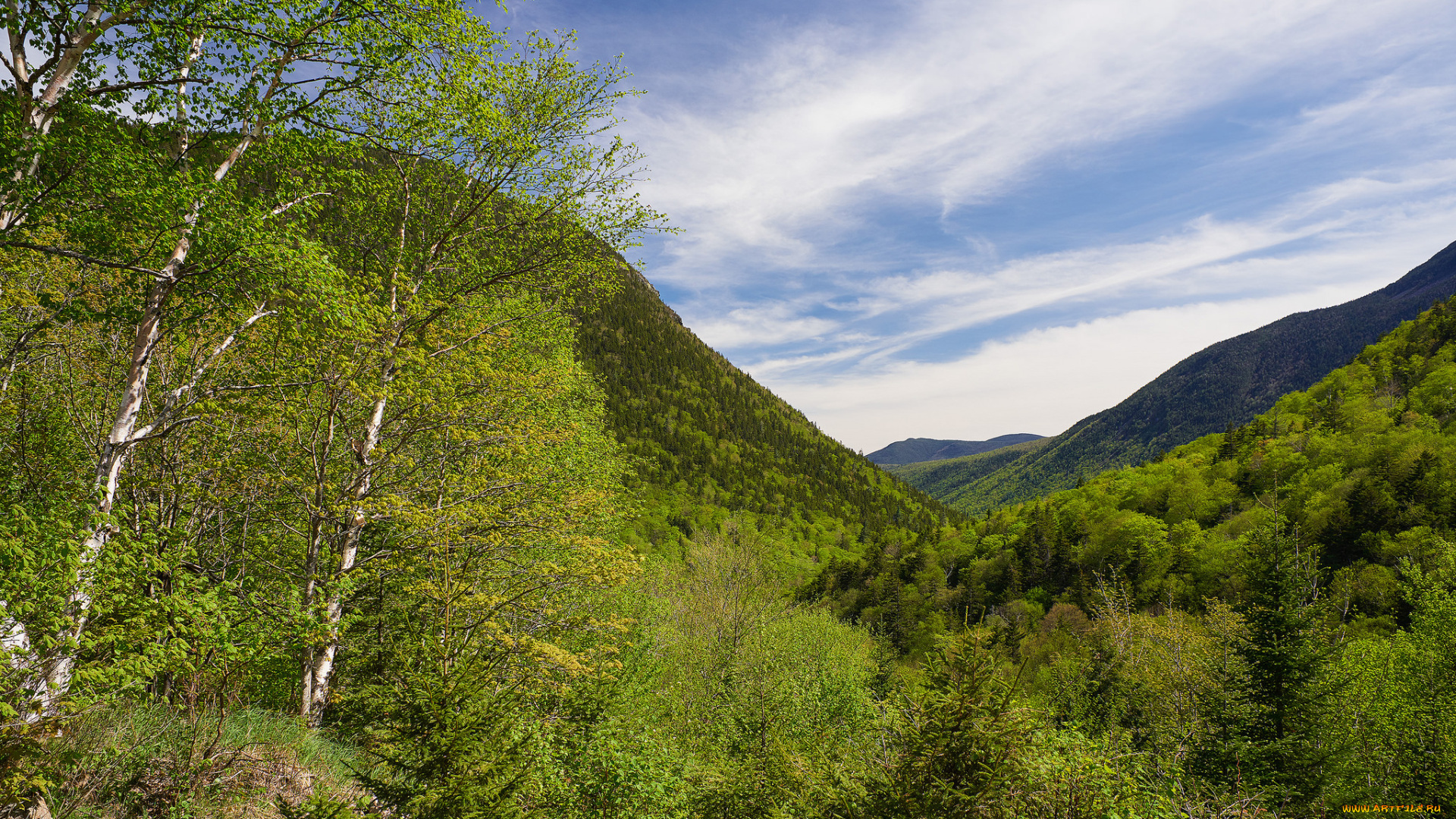 природа, горы, простор