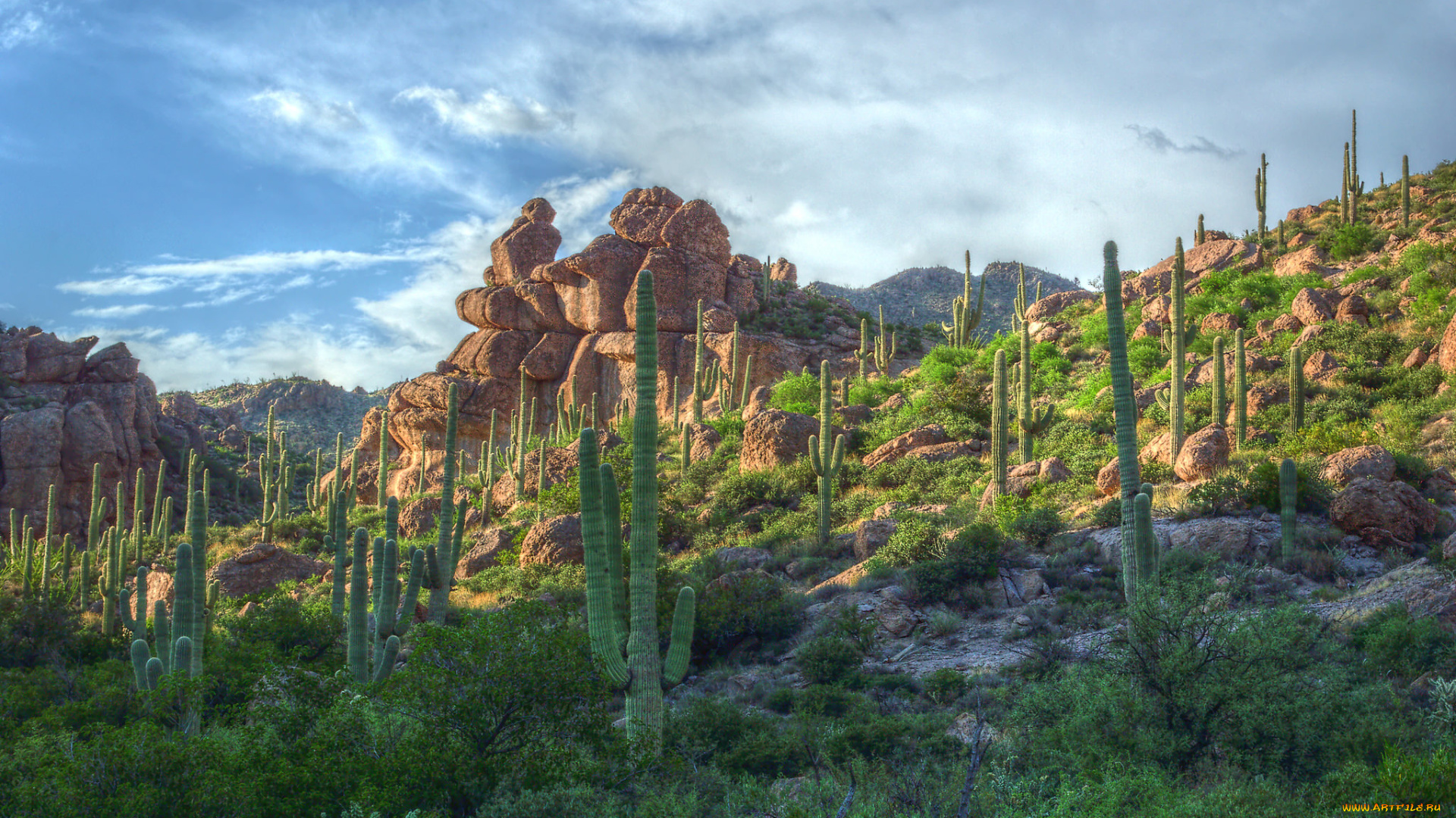 природа, горы, простор